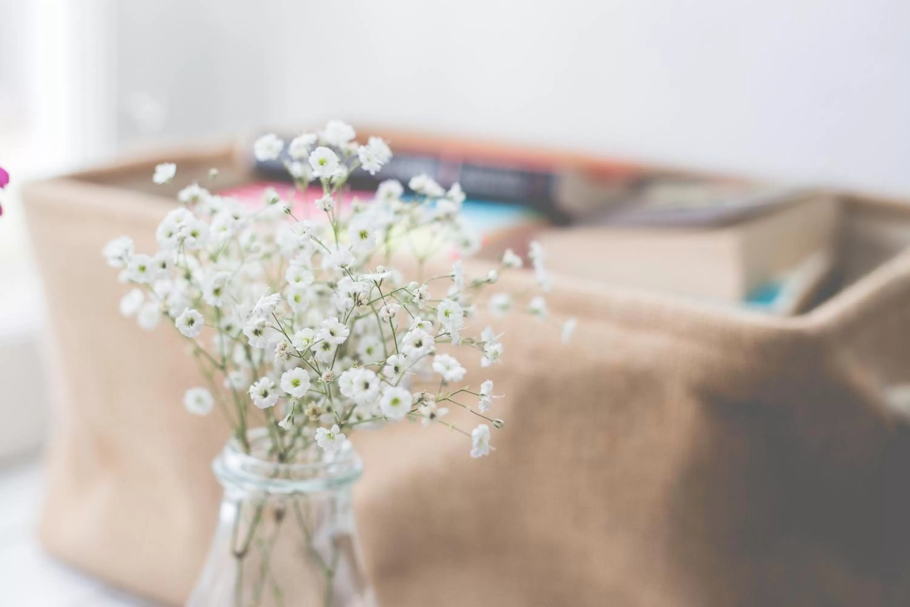 Other in Sintra1012 Boutique Guesthouse