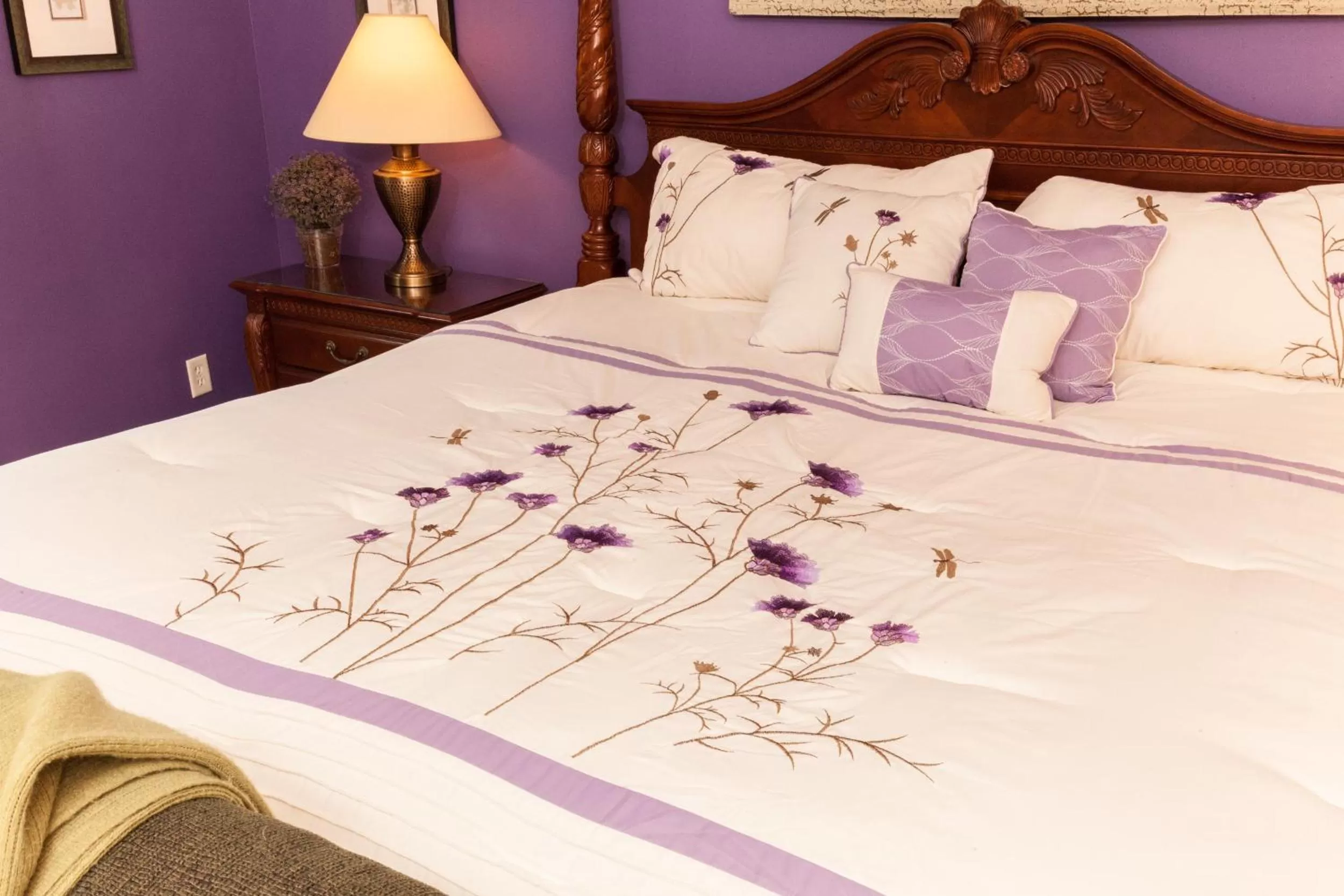 Pets, Room Photo in Scottish Bed & Breakfast