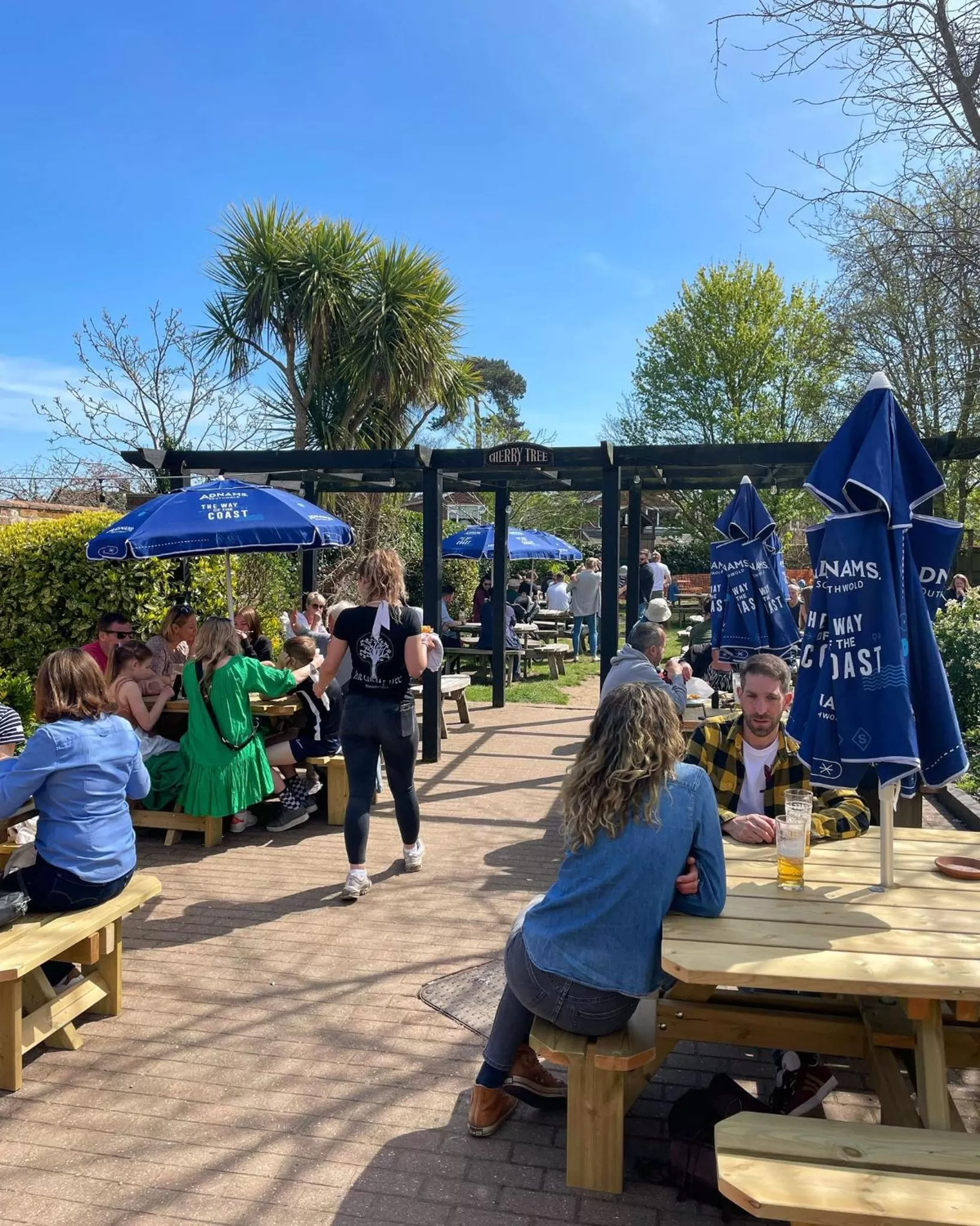 Garden in The Cherry Tree