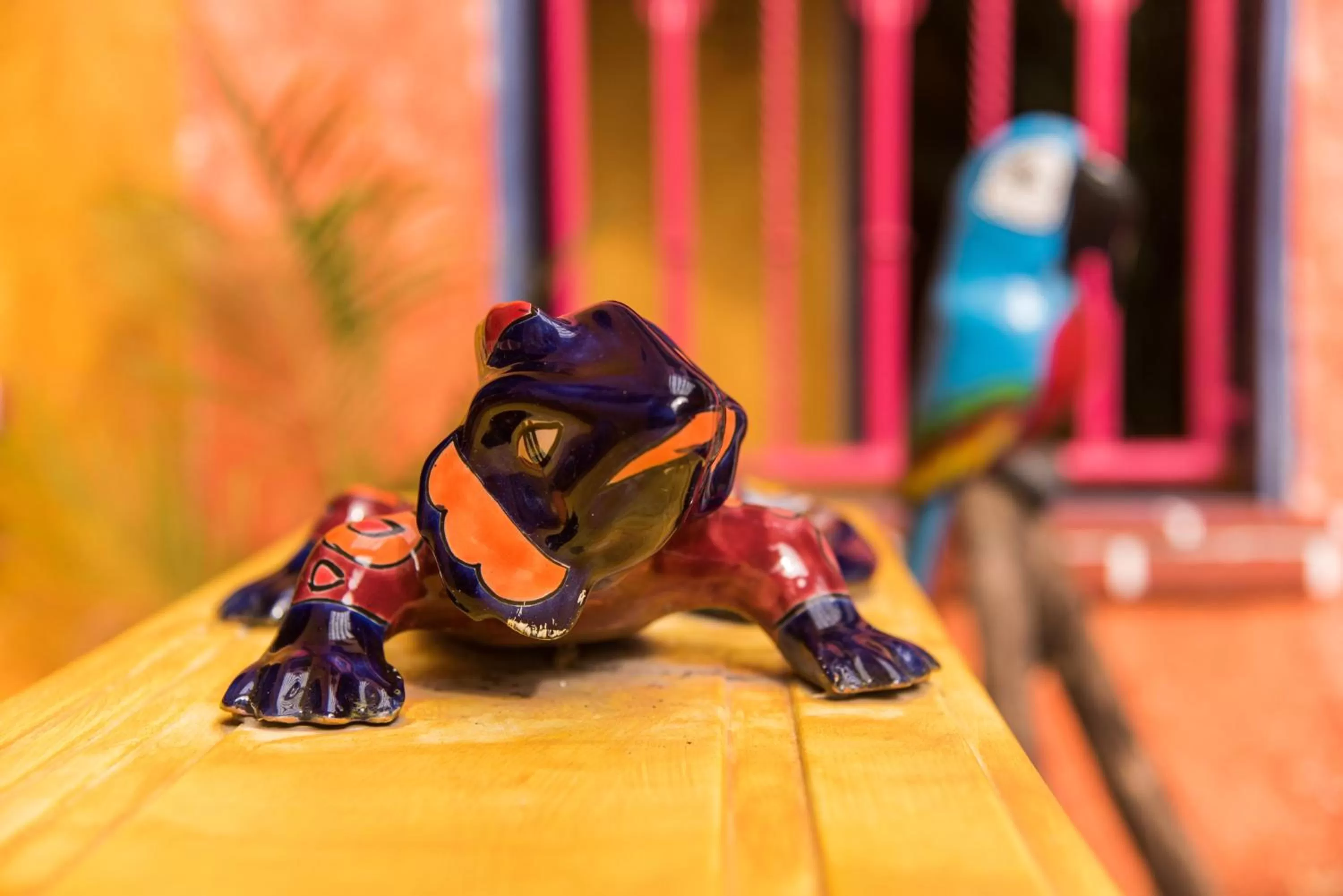 Area and facilities in Hacienda Maria Bonita Hotel