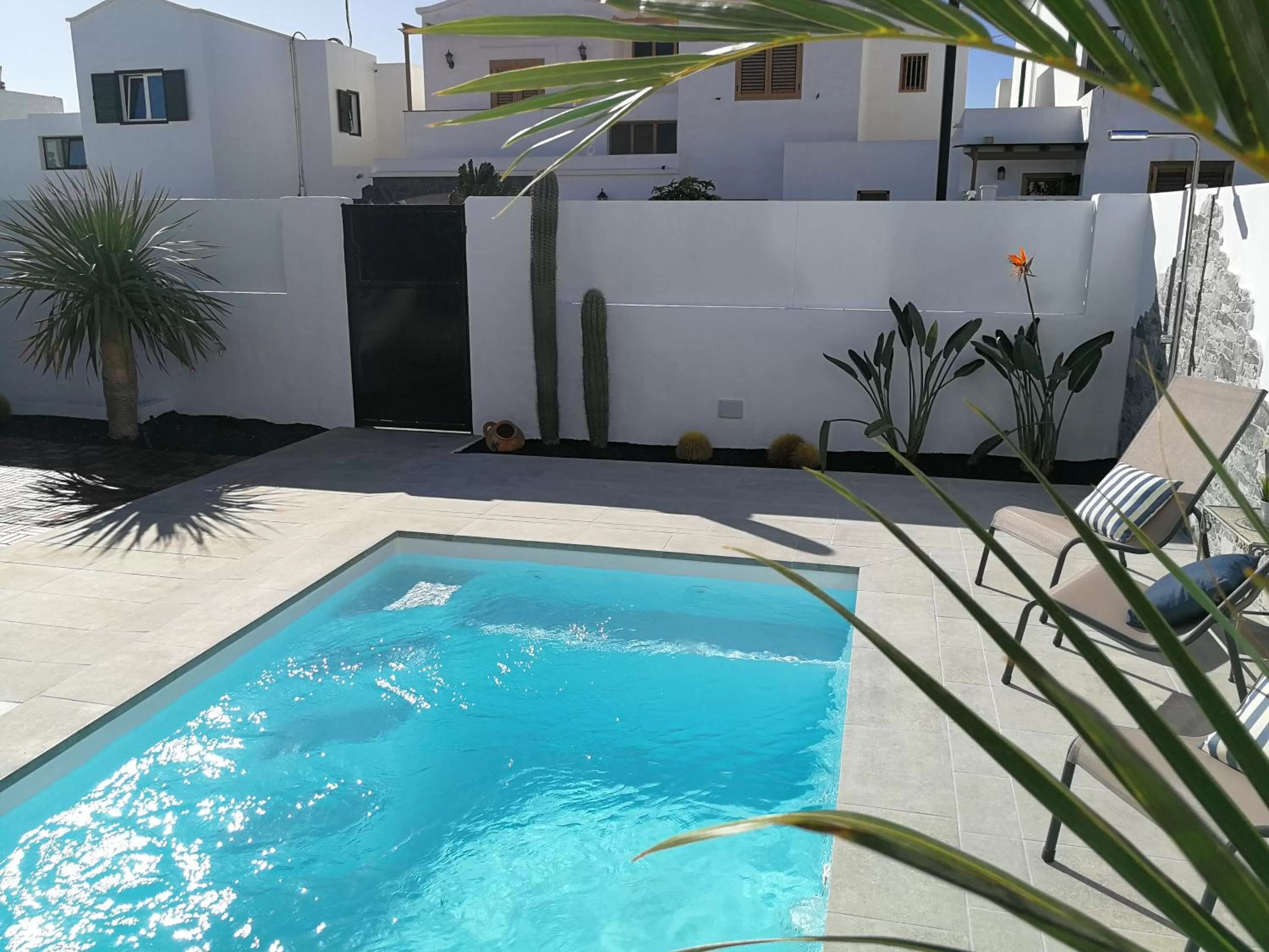 Swimming pool in MAGMA Rooms Playa Honda