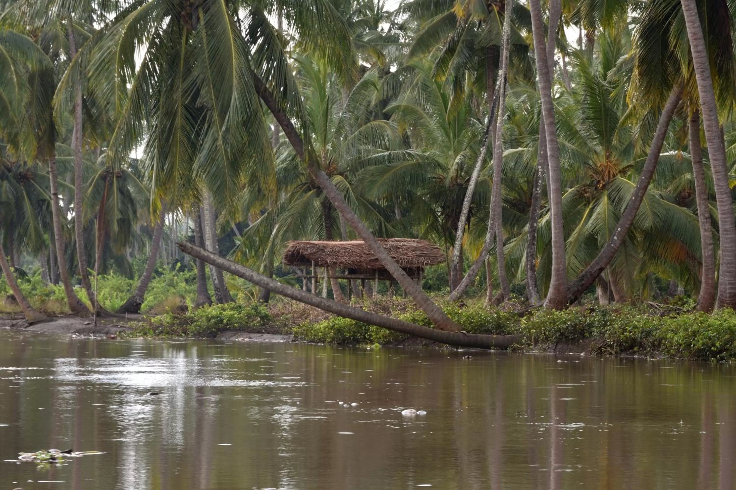 Entertainment in Bahari Pori Resort