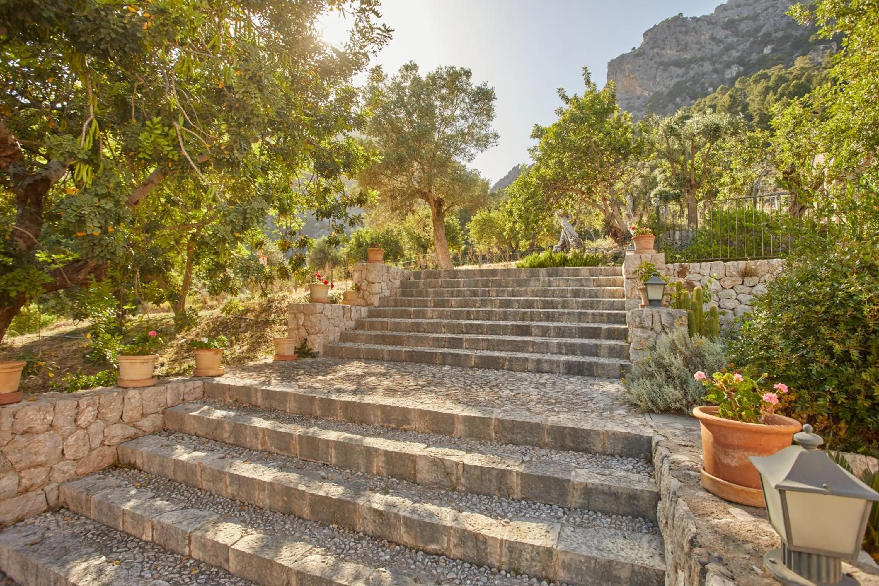 Garden in Agroturismo Alquería Blanca
