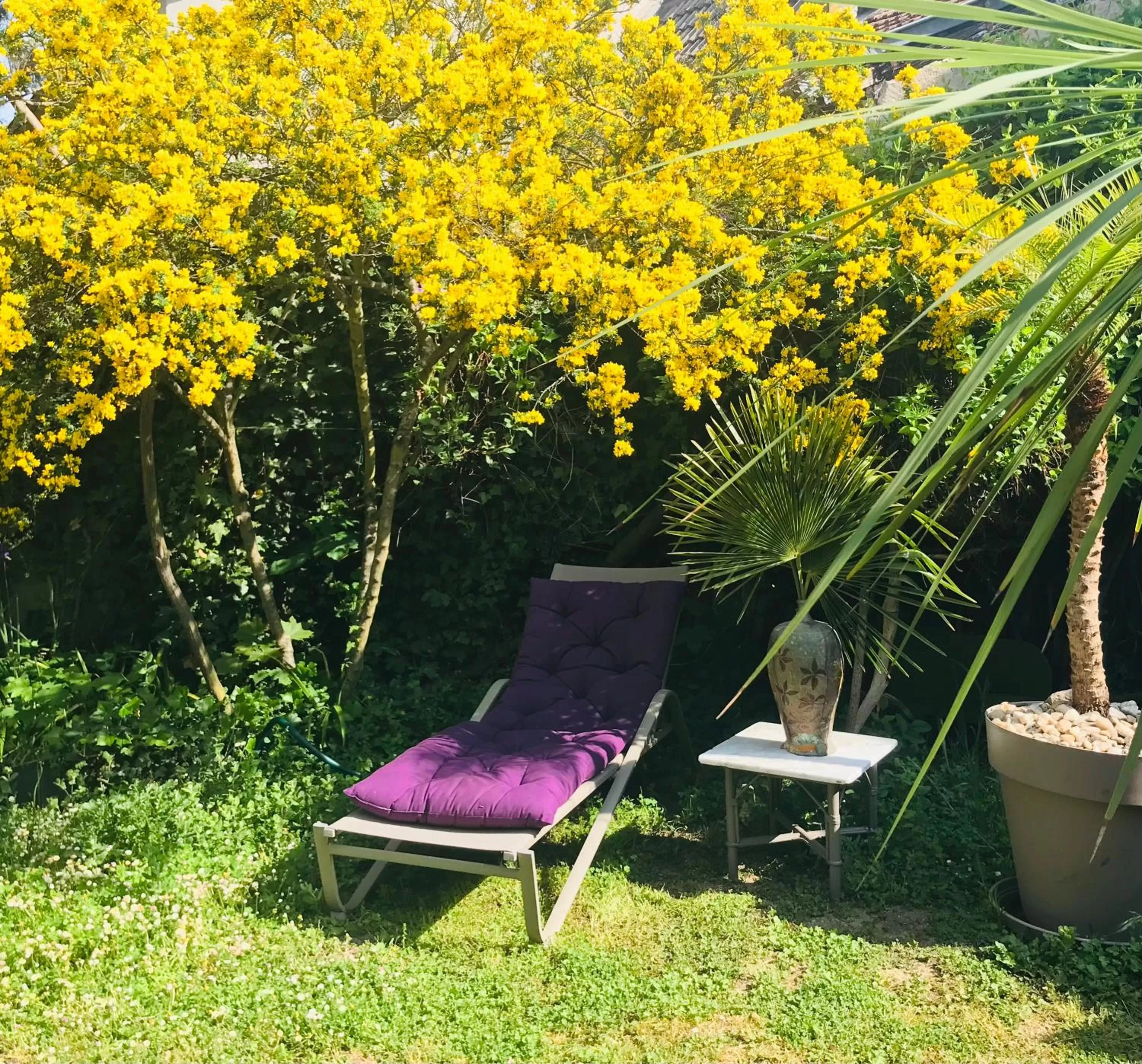 Garden in La Maison des Roses