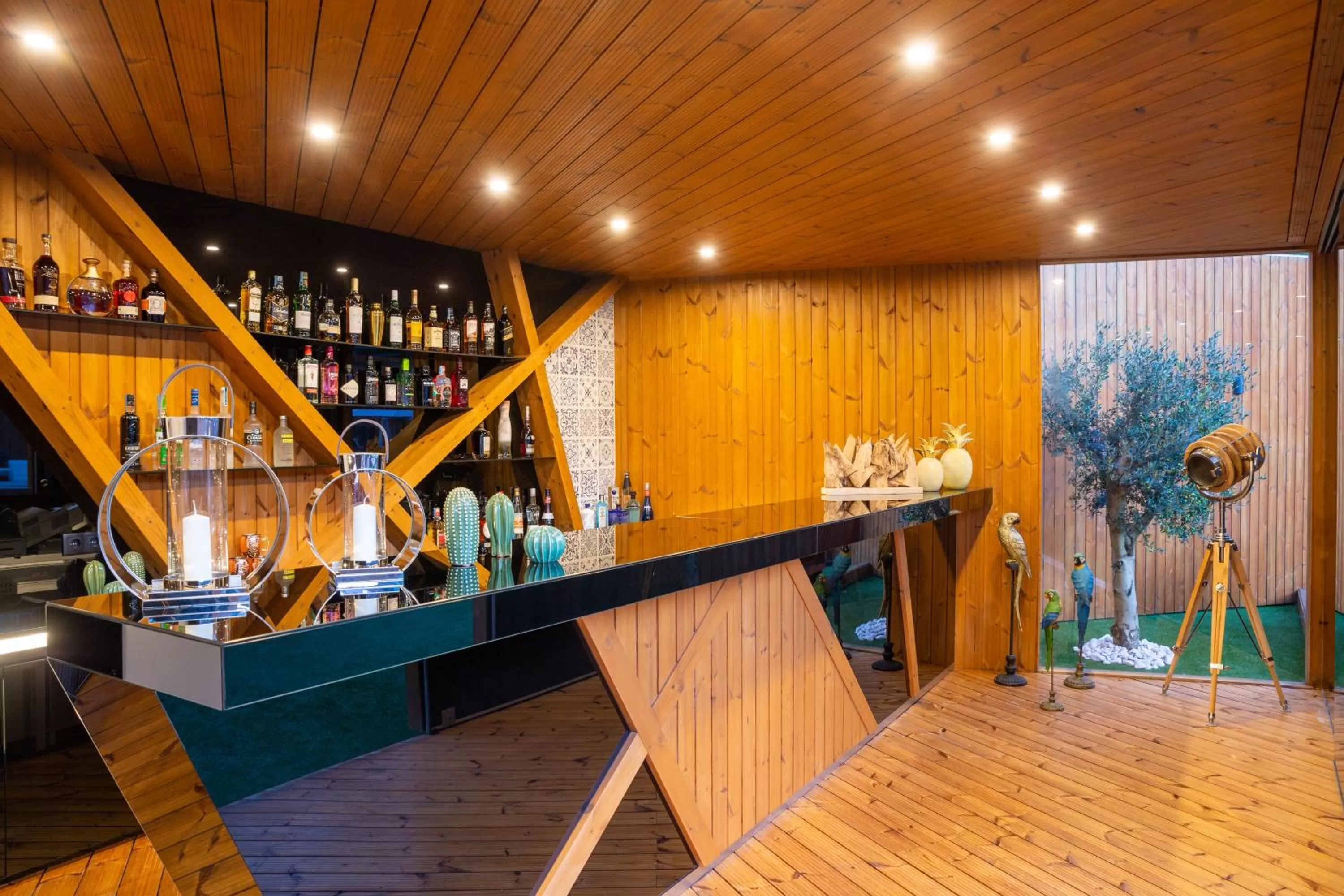 Garden in Hotel Cristal Porto