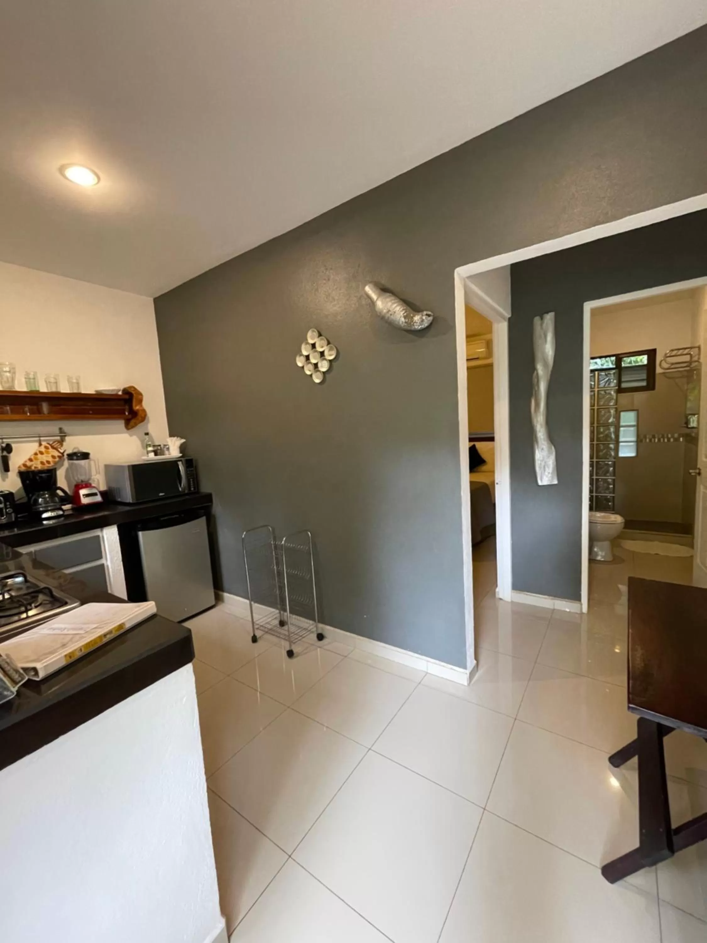 Kitchen/Kitchenette in Tamarindo Sunshine