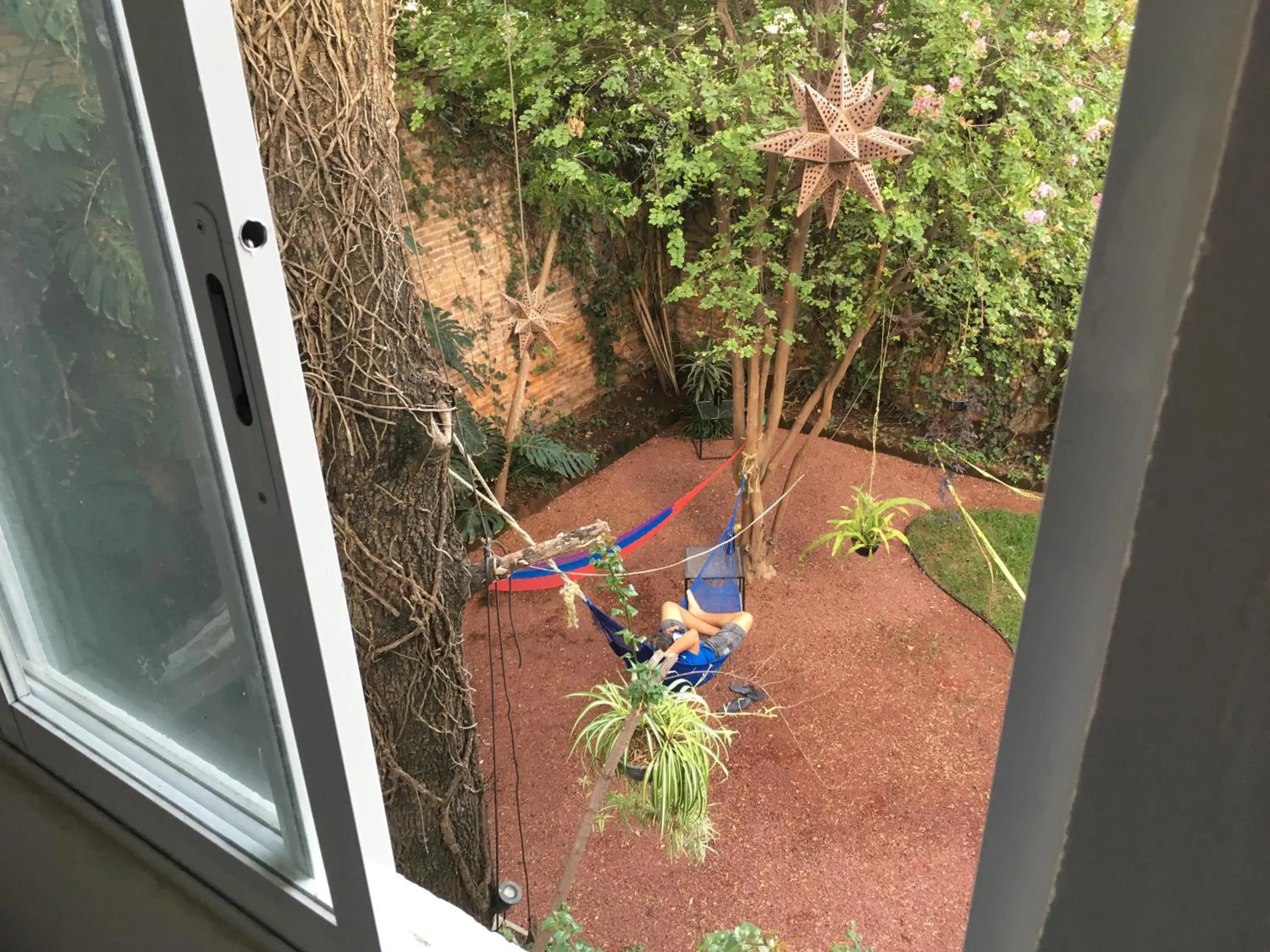 Garden view in Hostel Hospedarte Chapultepec