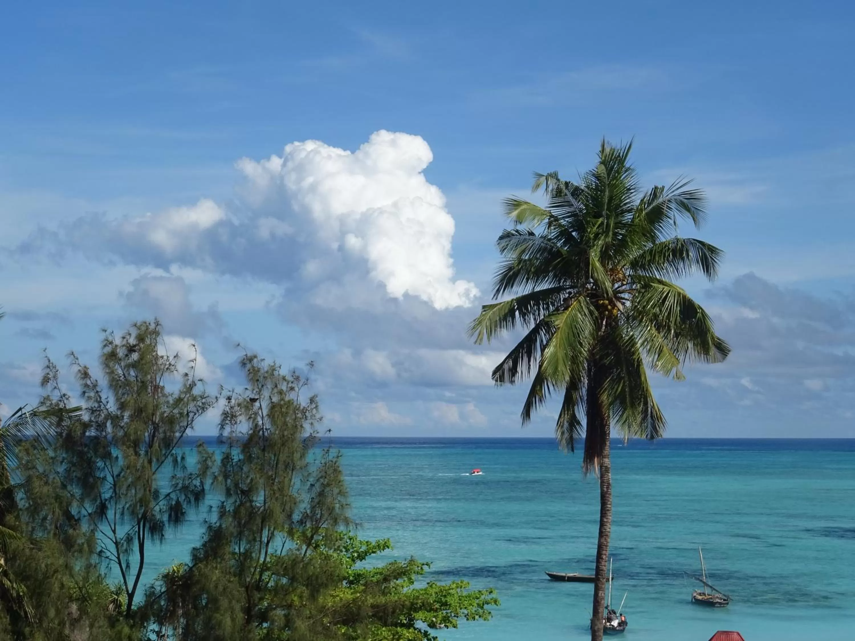 Sea view in Zanzicrown