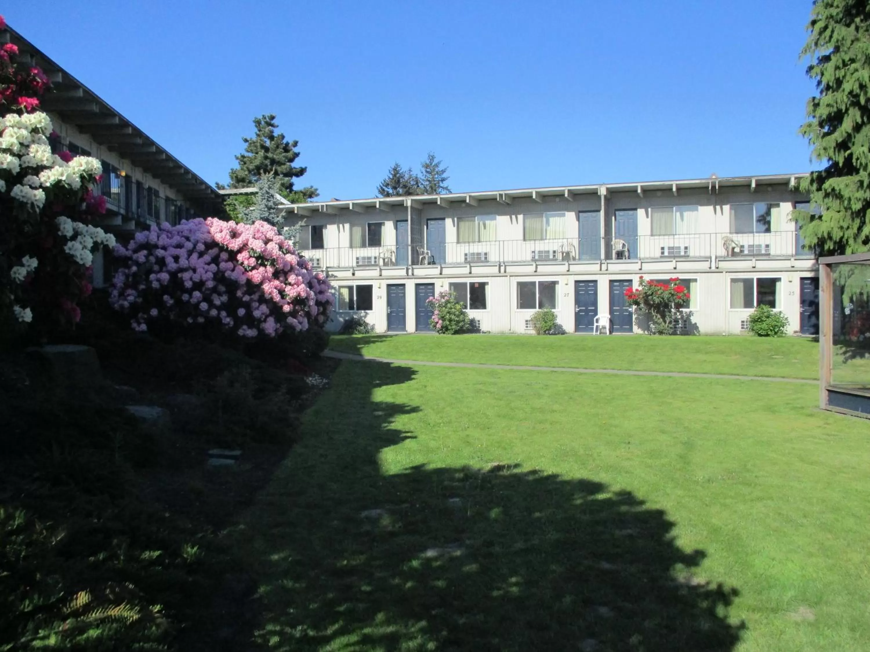 Garden in Cocusa Motel