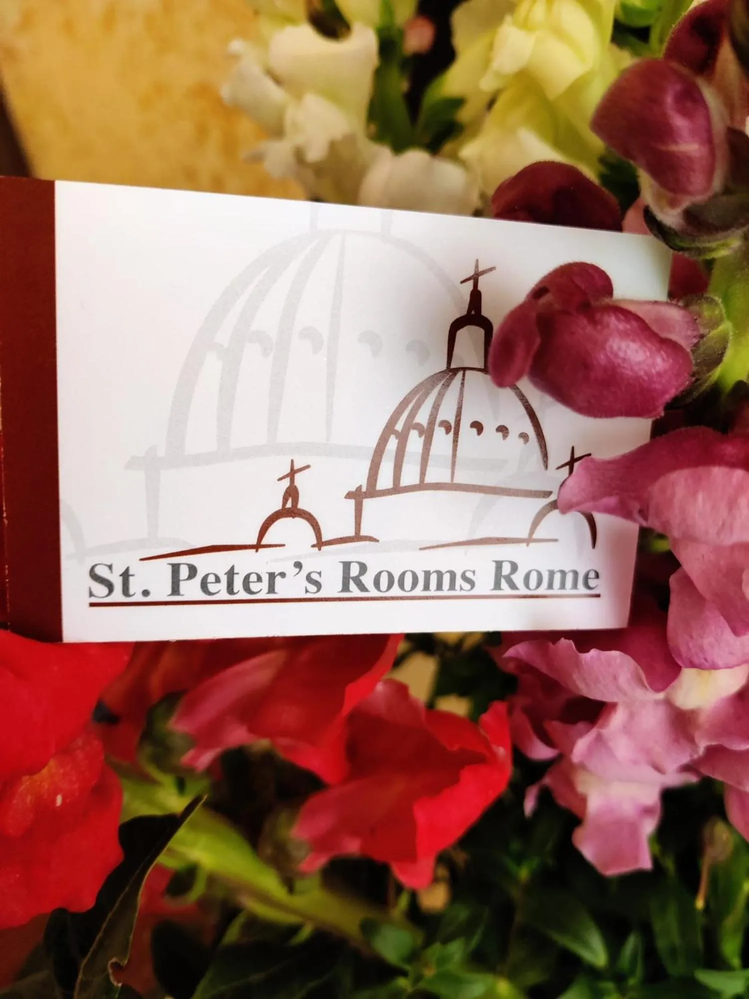 St. Peter's Rooms Rome