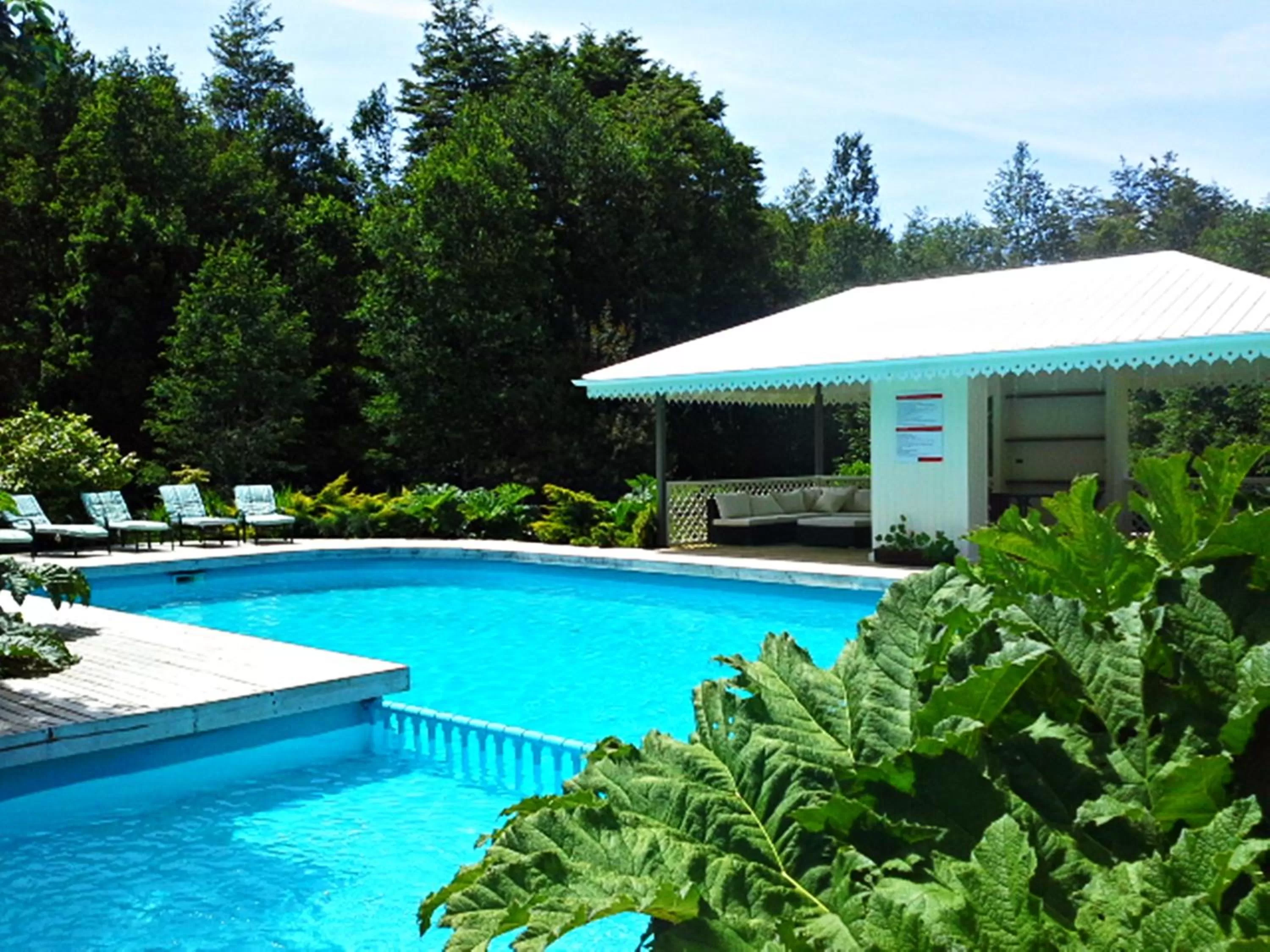 Swimming Pool in Hotel Salto del Carileufu