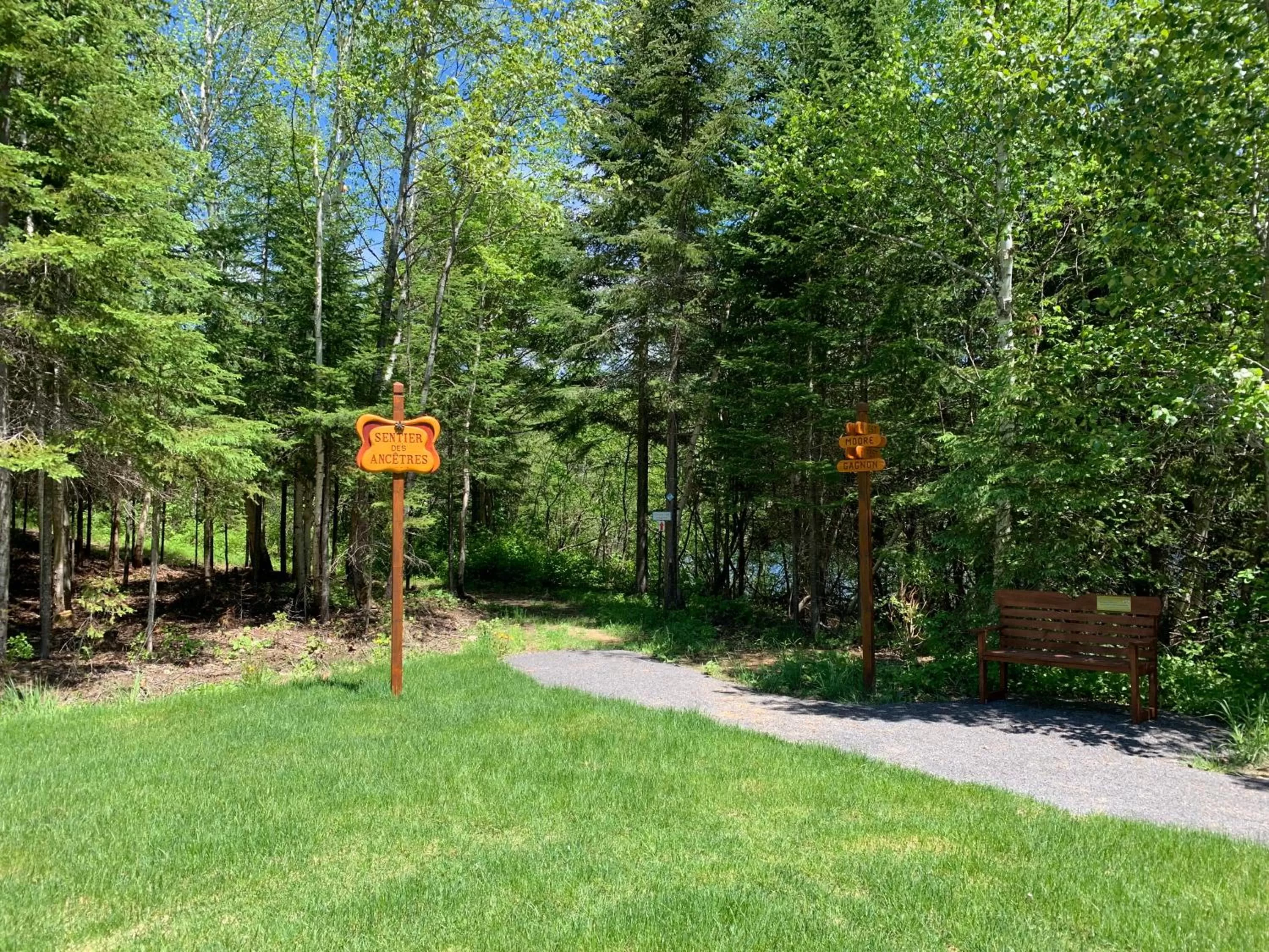 Activities, Garden in Hébergement chez le D