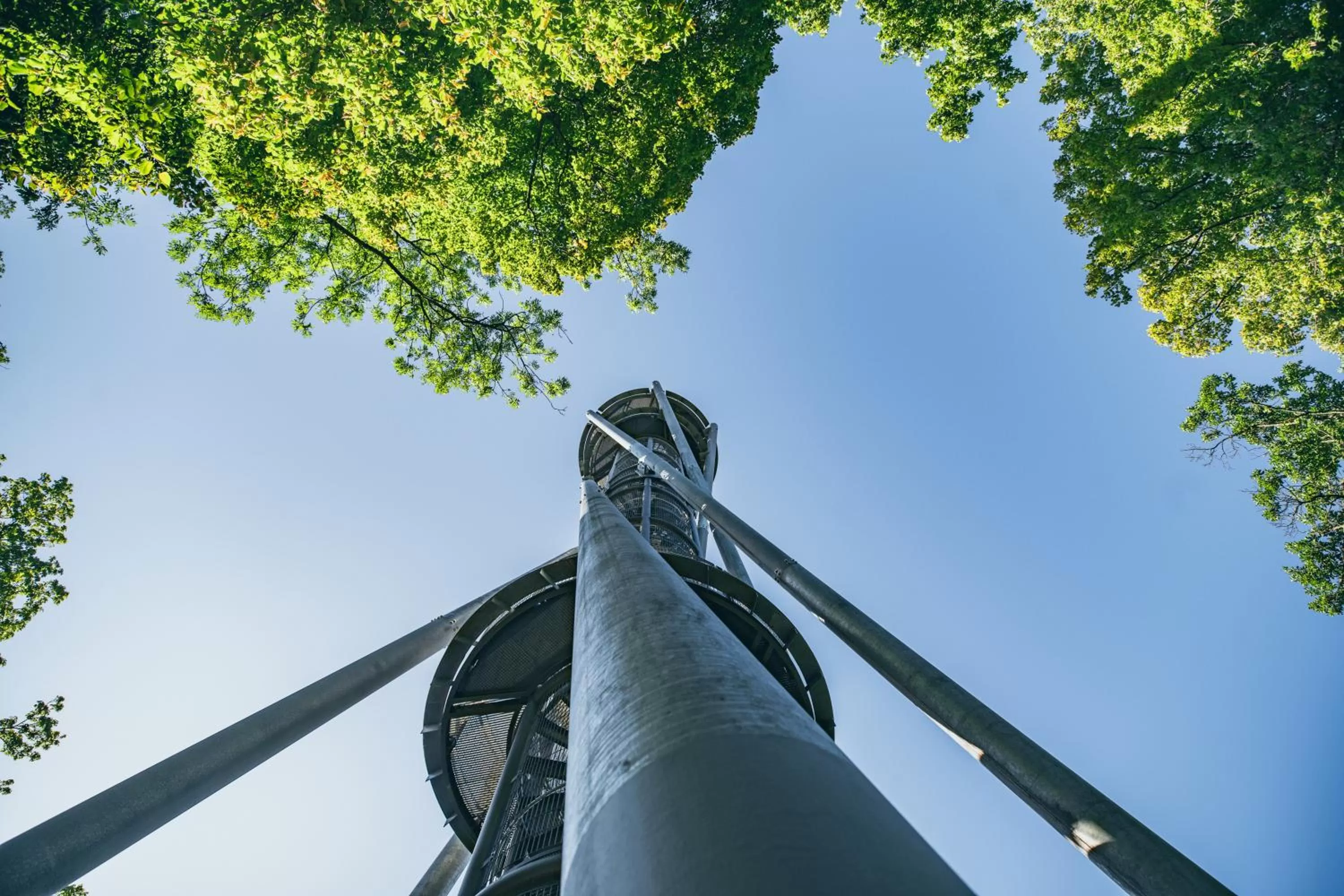 Activities in Dorint Thermenhotel Freiburg