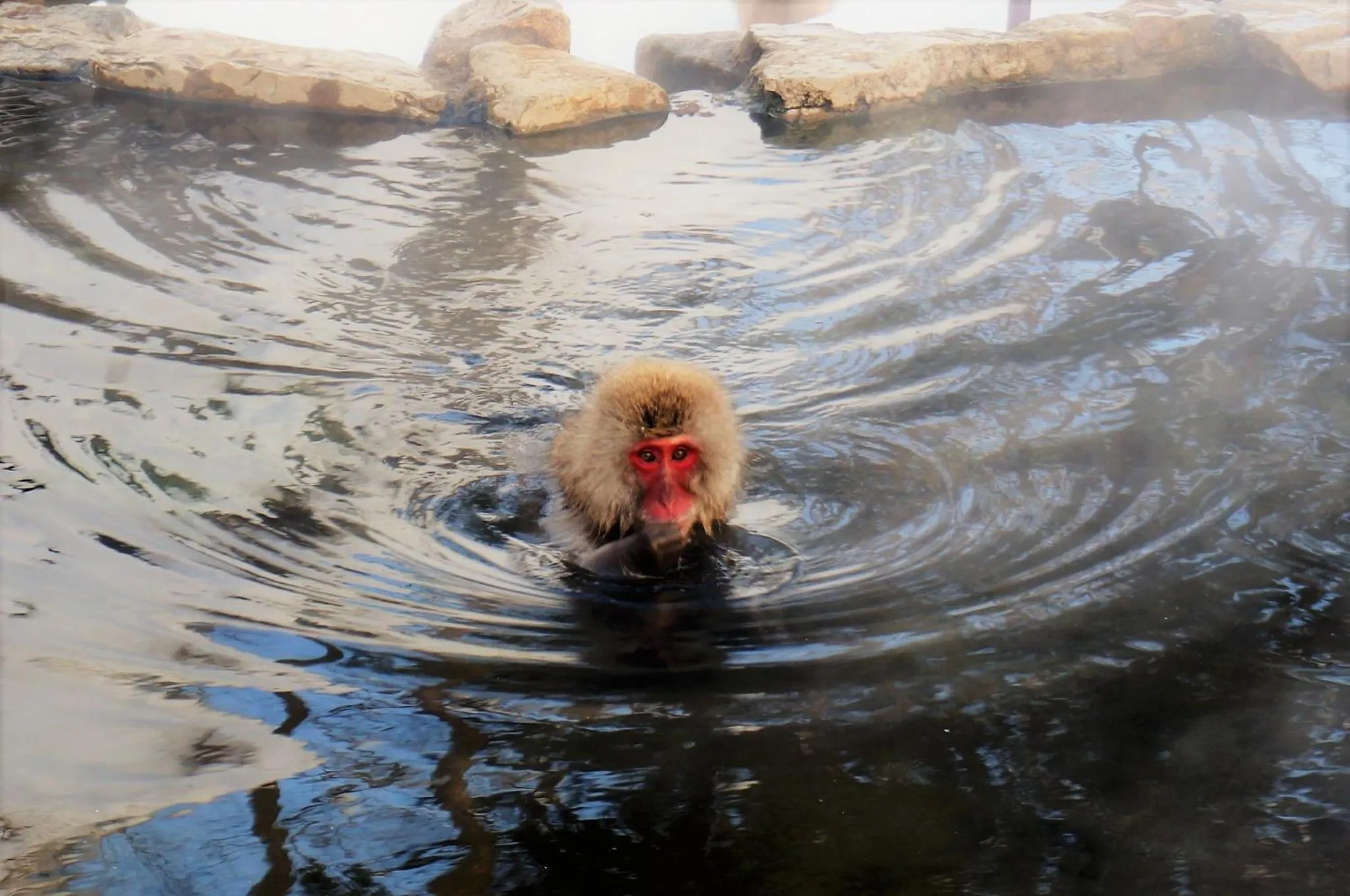 Activities in Hotel Yudanaka