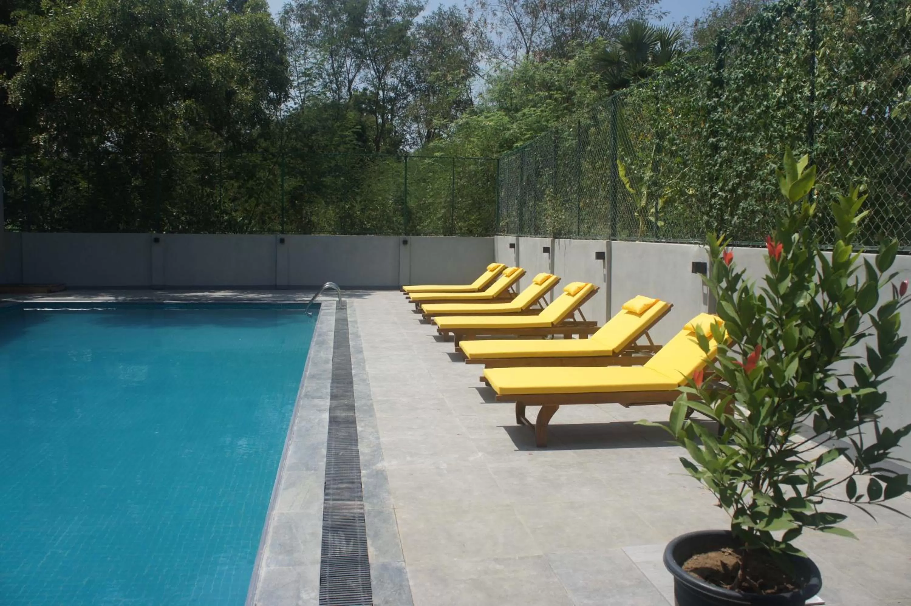 Swimming Pool in The Thinnai - All-Suites Boutique Hotel