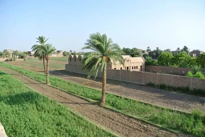 Garden view in Nour El Balad