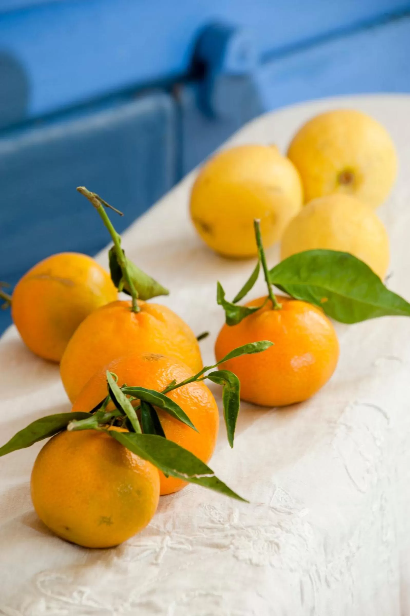 Decorative detail in Arkhé Hotel Boutique Pals