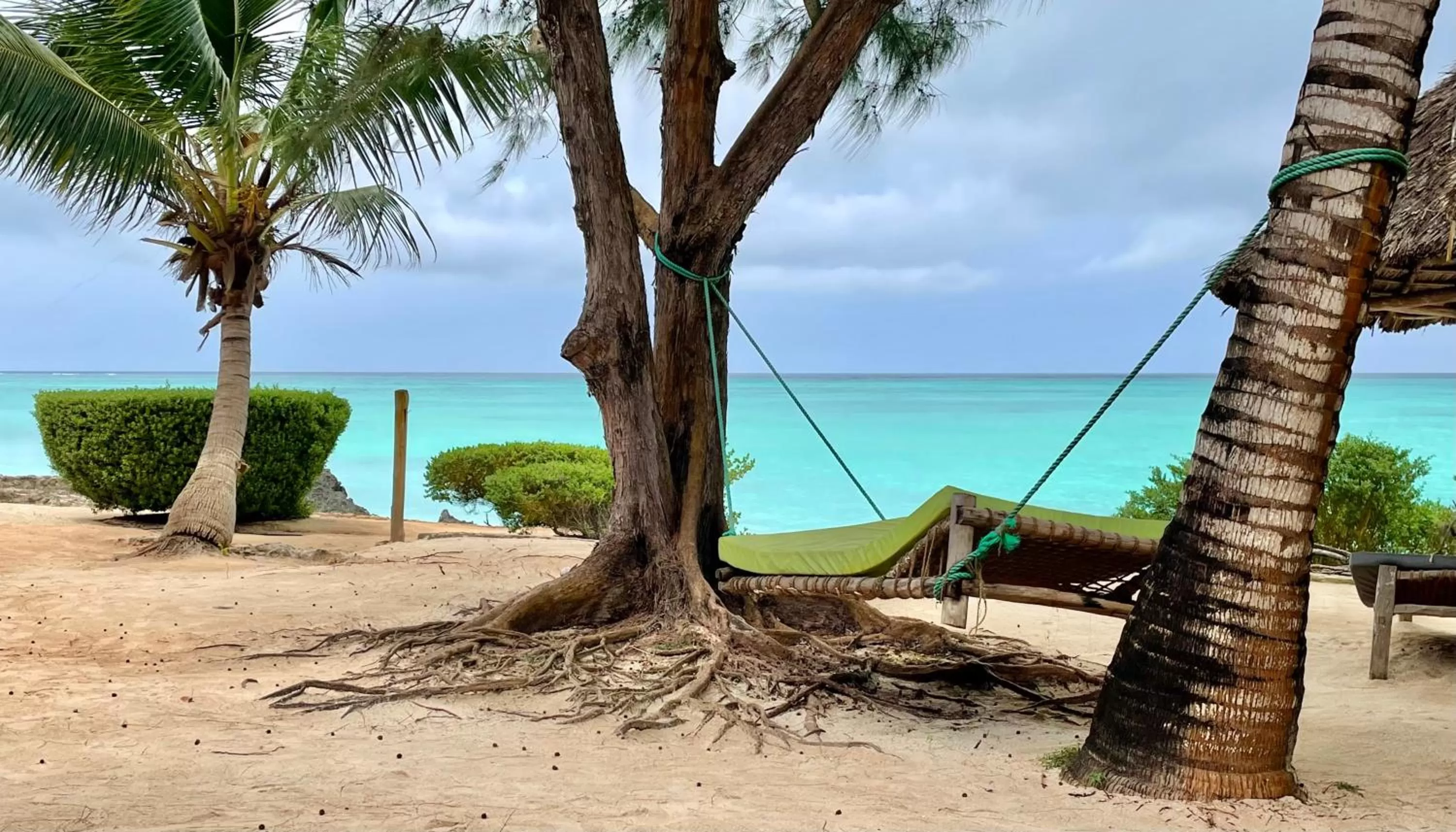 Sea view in Tanzanite Beach Resort