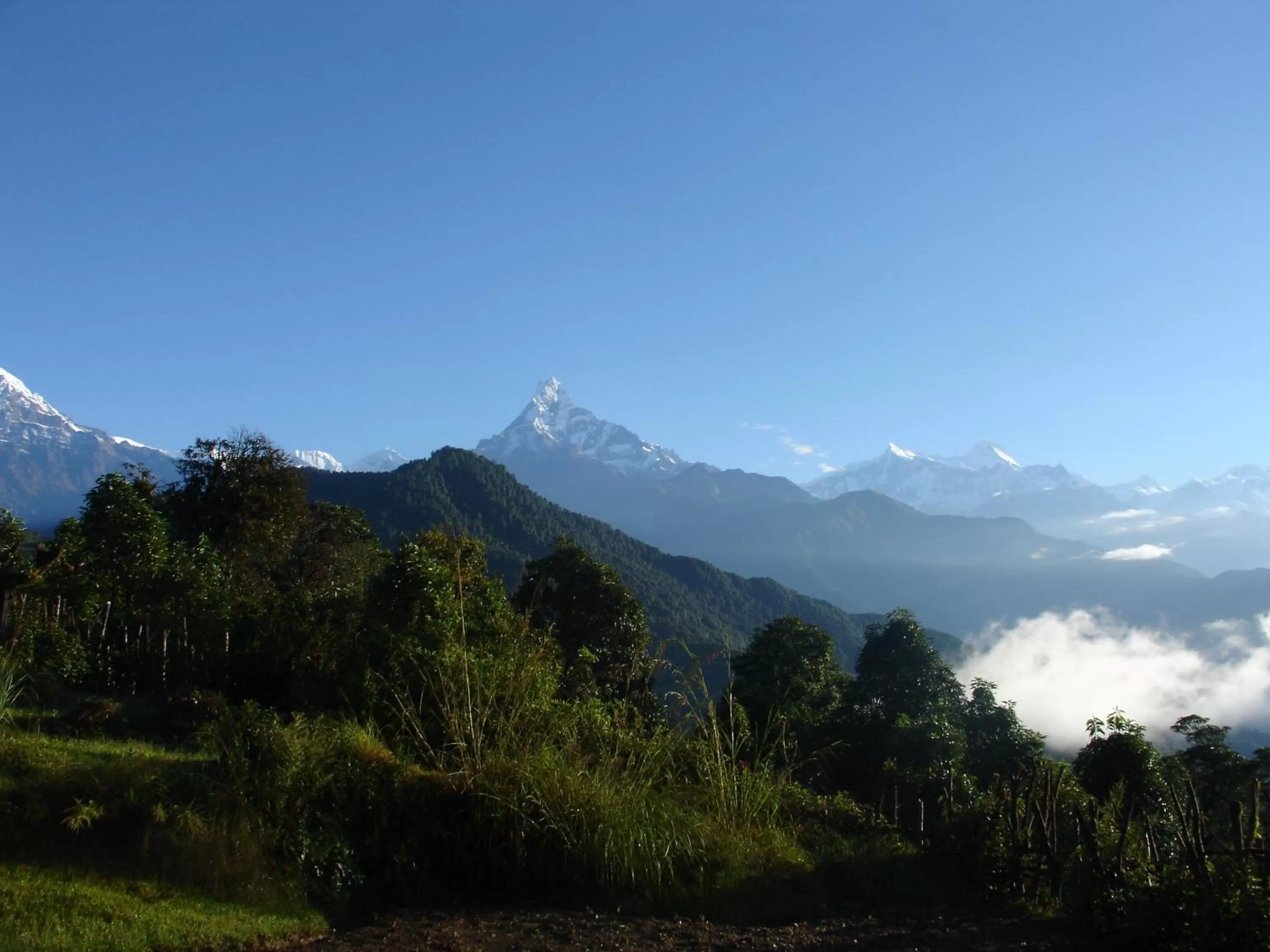 Natural landscape in The North Face Inn