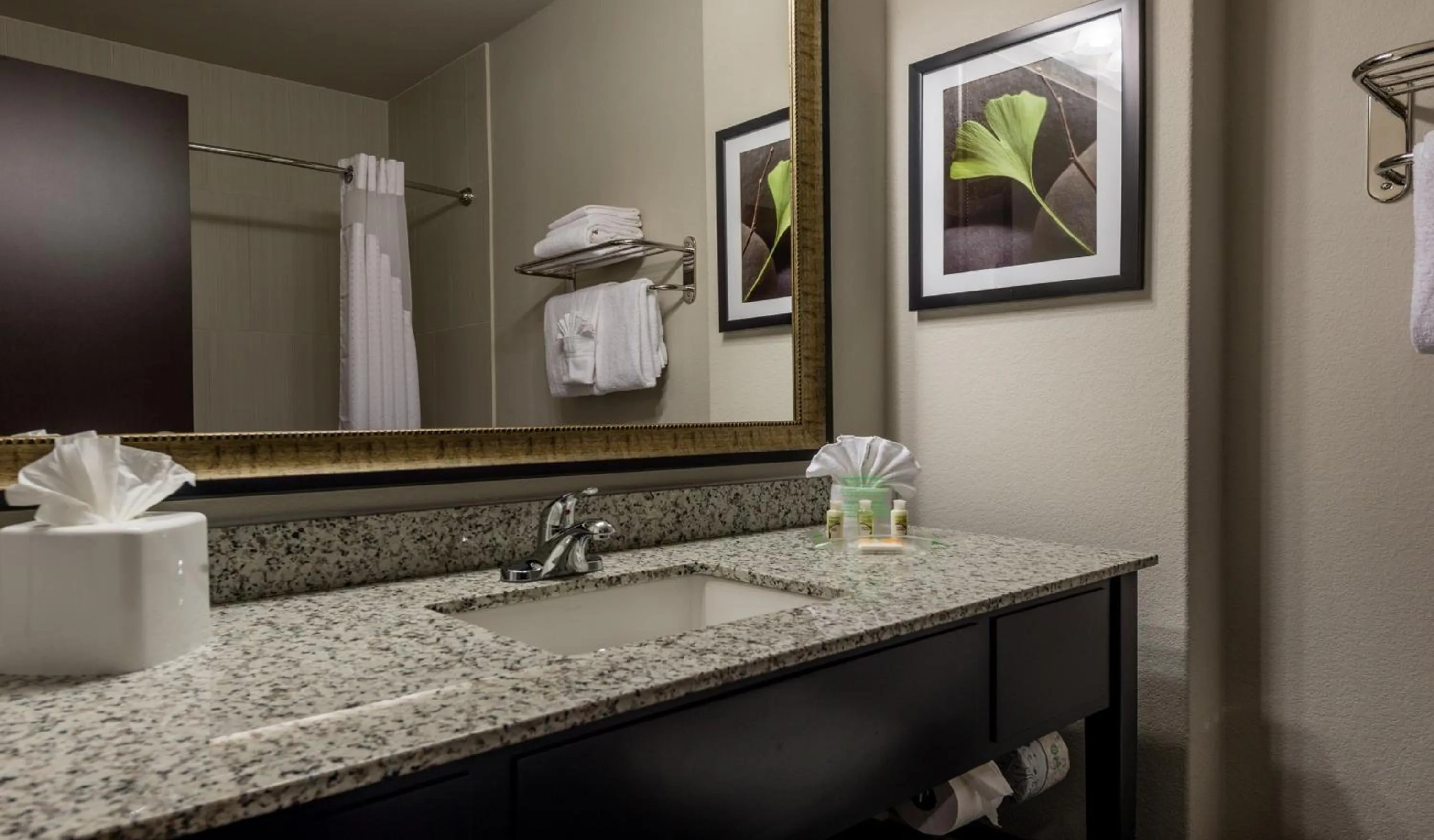 Bathroom in Holiday Inn Austin Airport by IHG