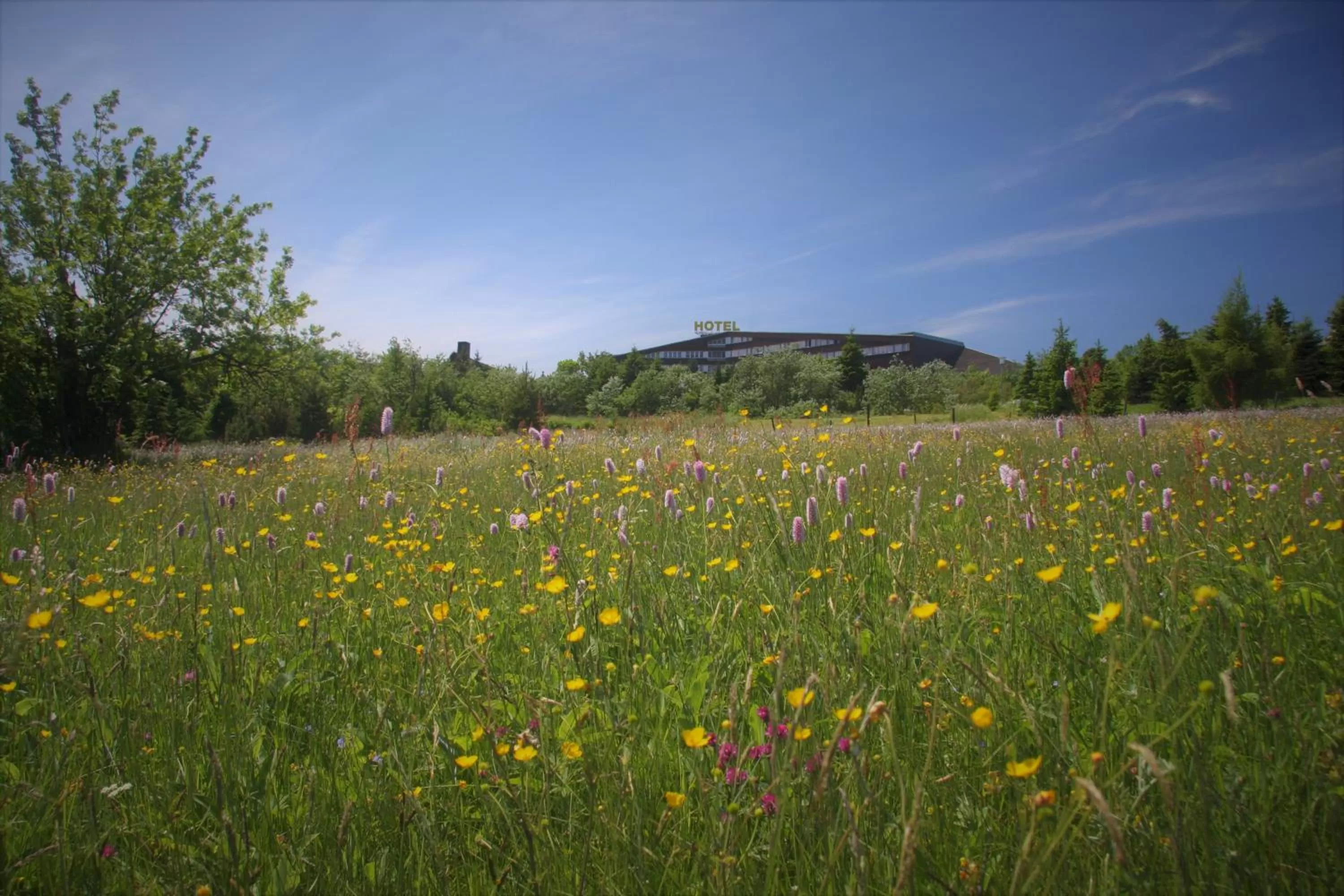 Property building in Hotel Lugsteinhof