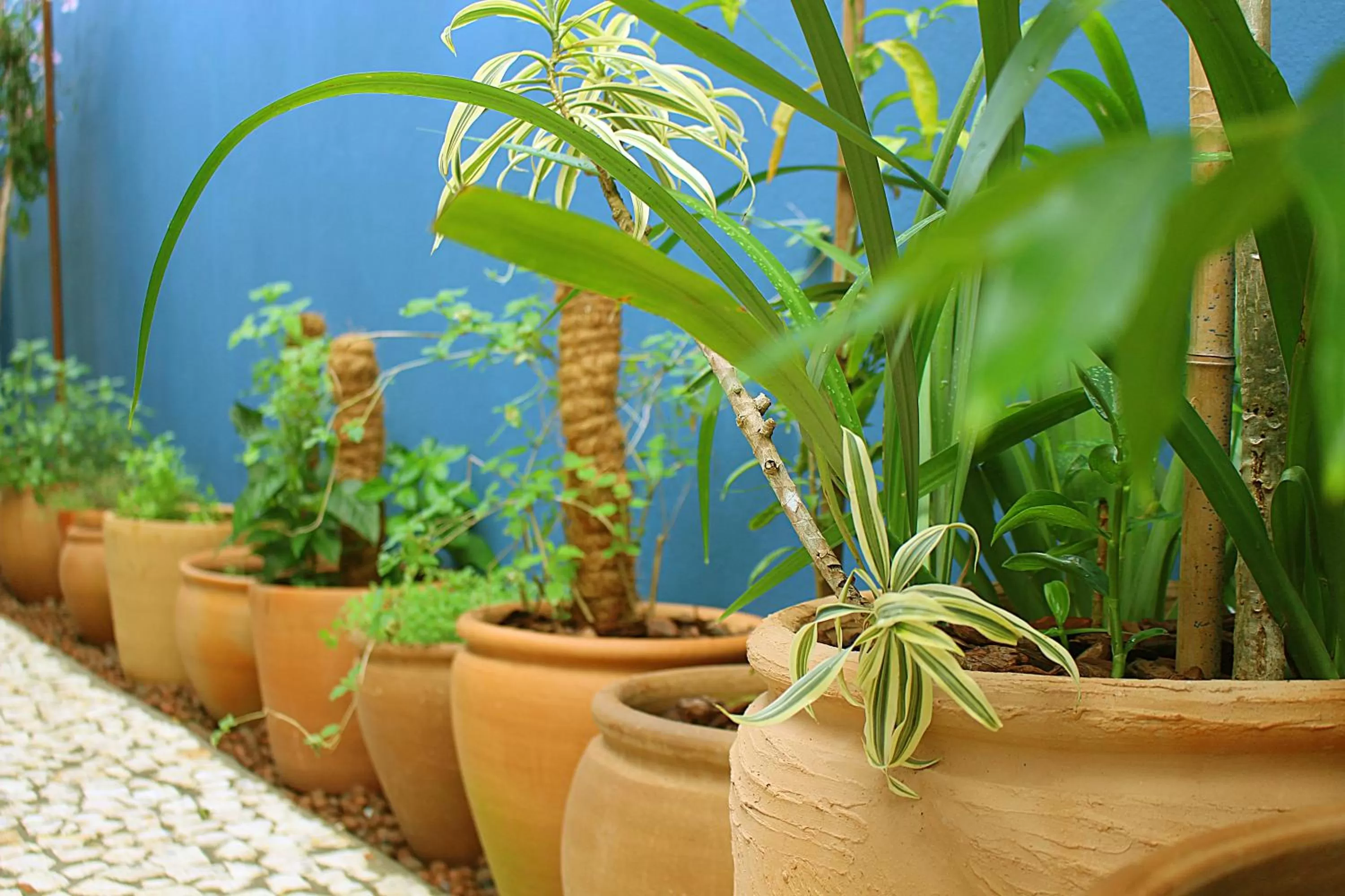 Decorative detail in Green 53 Boutique Hotel