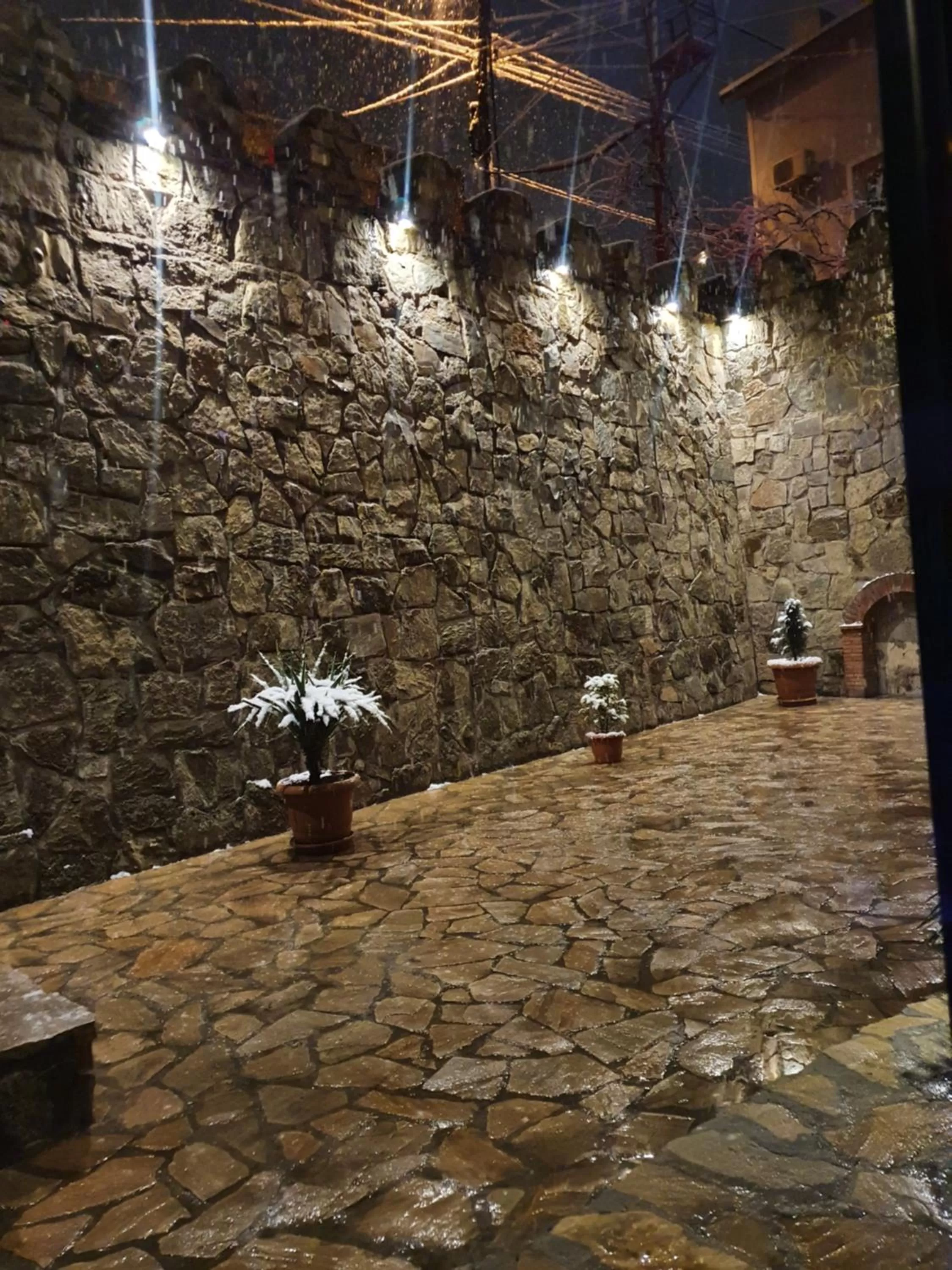 Other Animals in Janashia Boutique Hotels