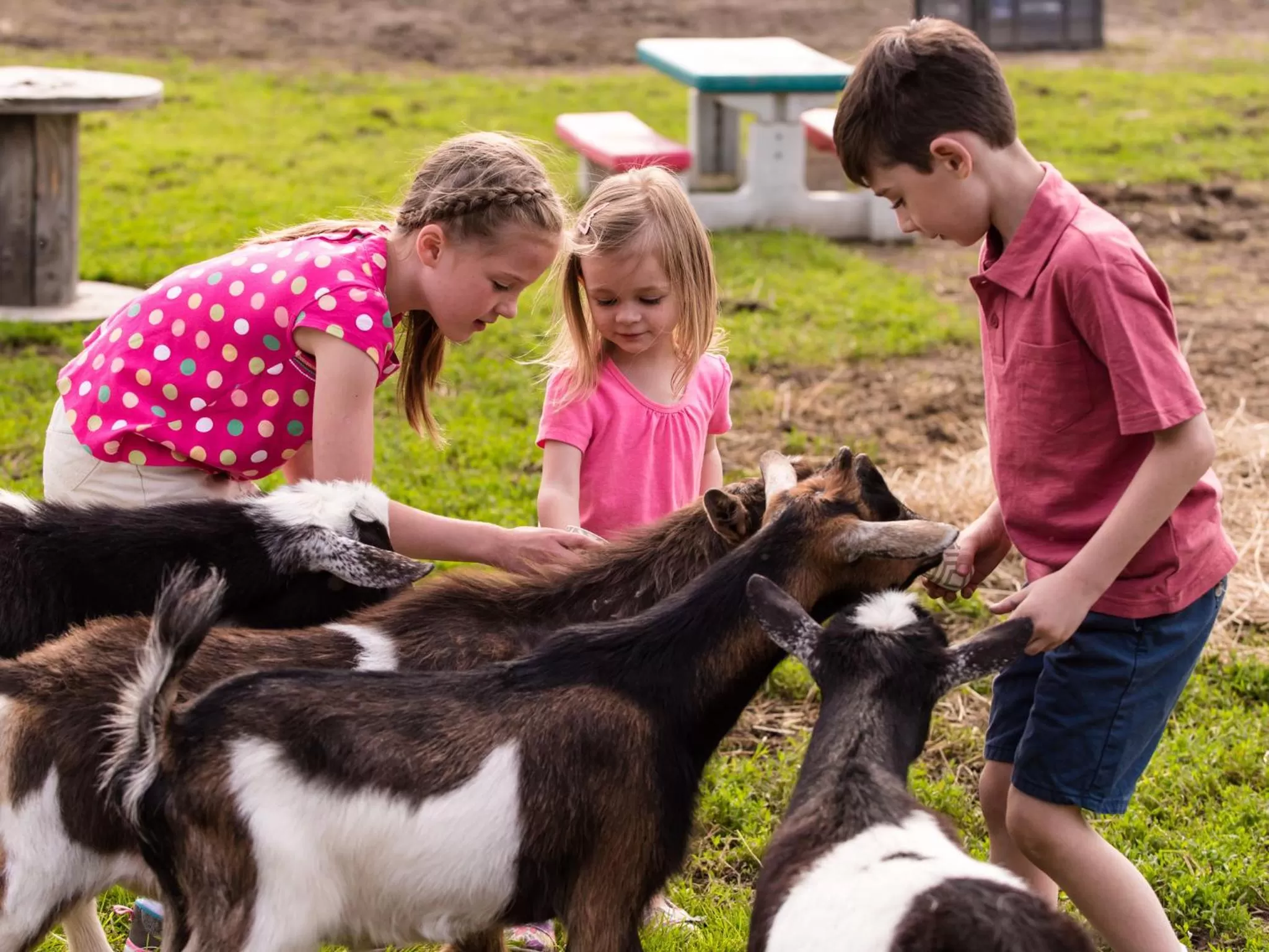 Activities in Deerhurst Resort