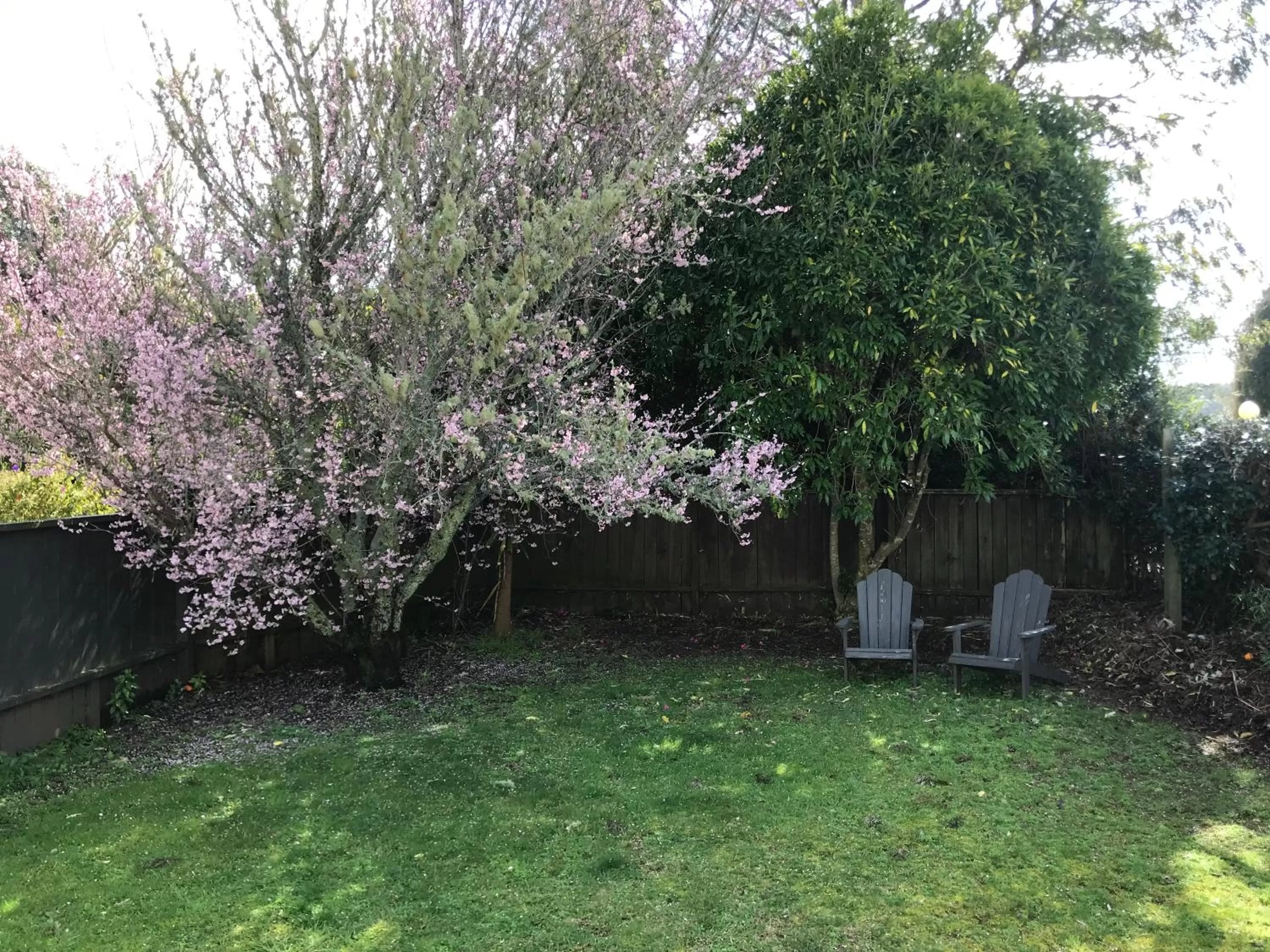 Garden in Aotearoa Lodge