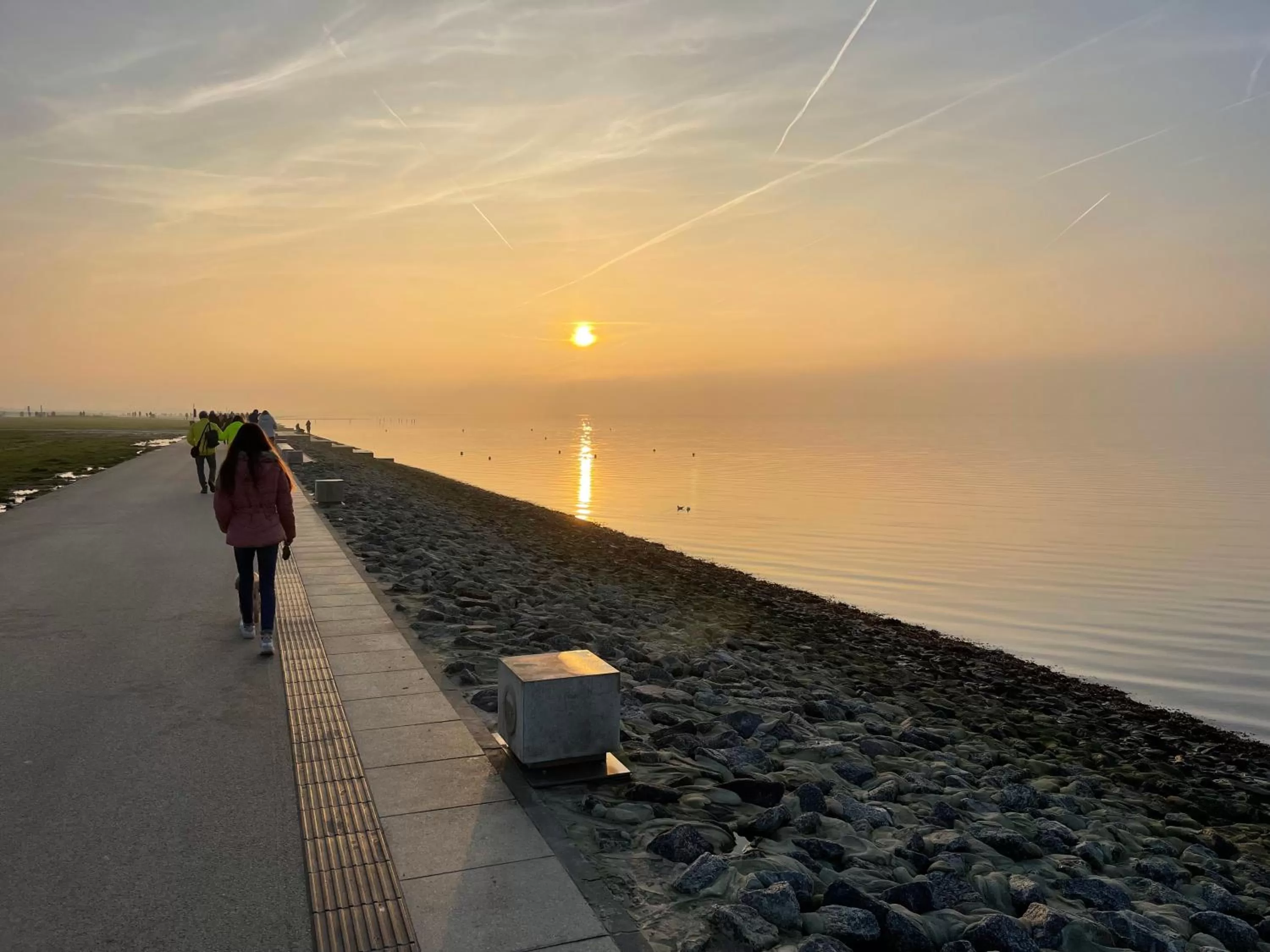 Natural landscape in BUDE16 Boardinghouse