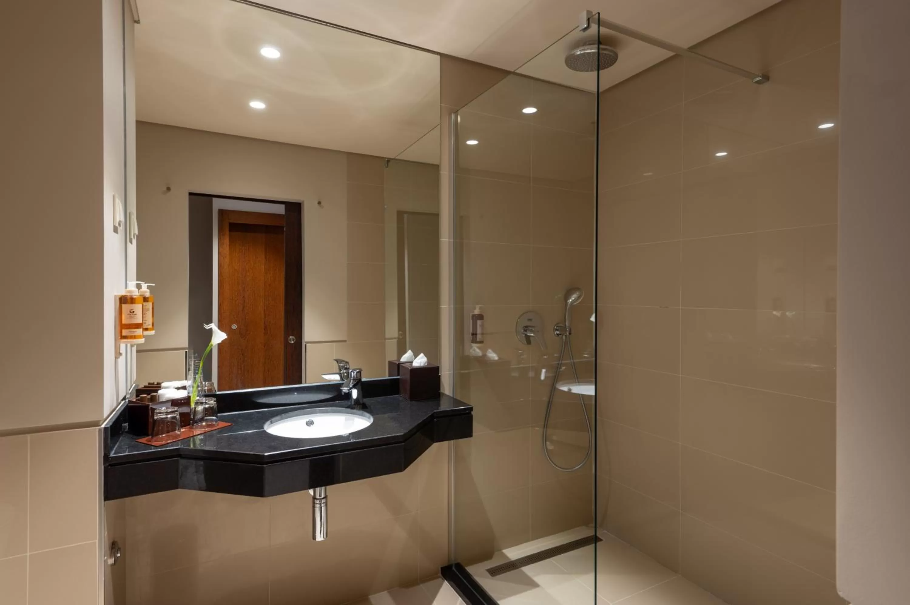 Shower in Vila Gale Collection Tomar