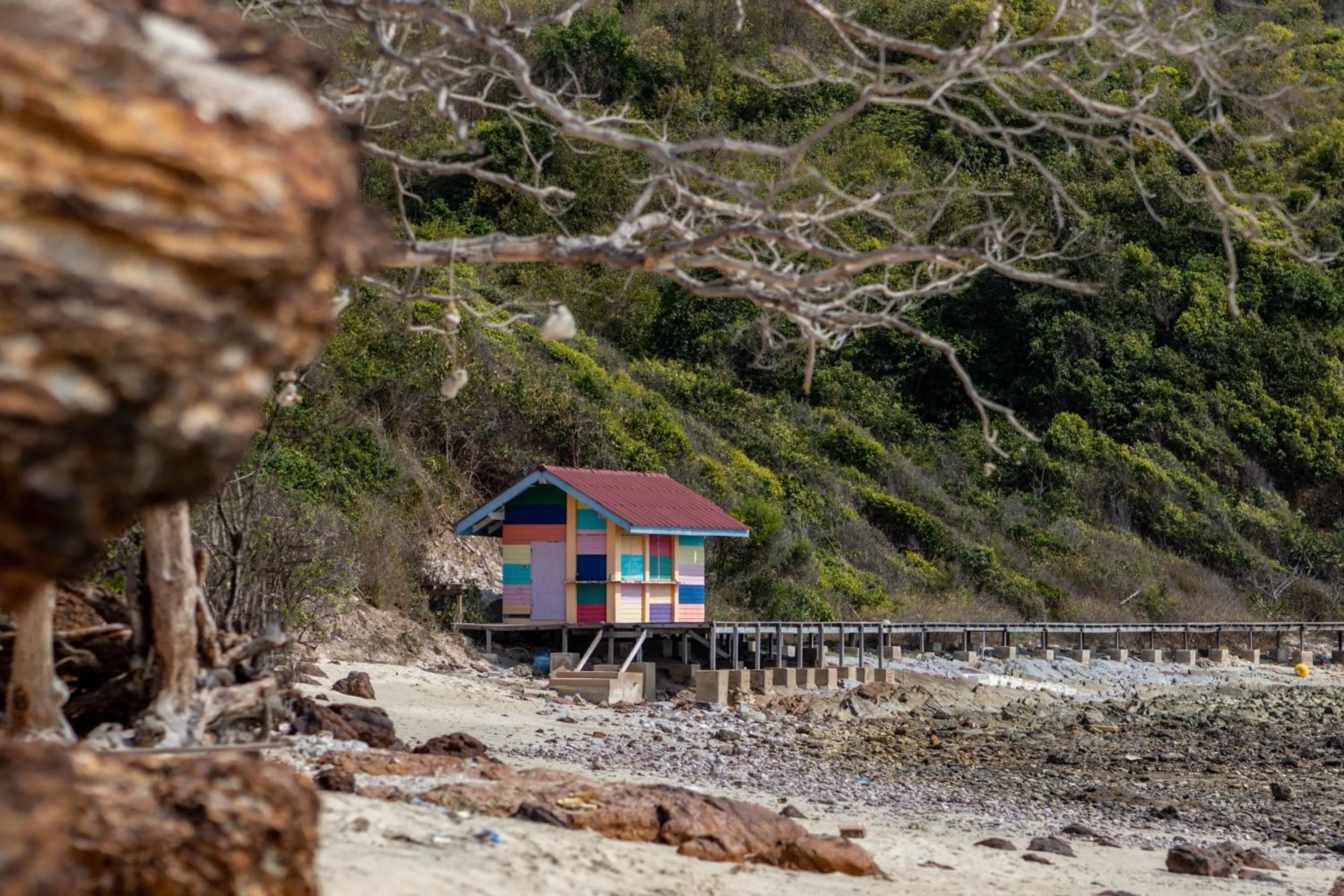 Natural landscape in Xanadu Beach Resort