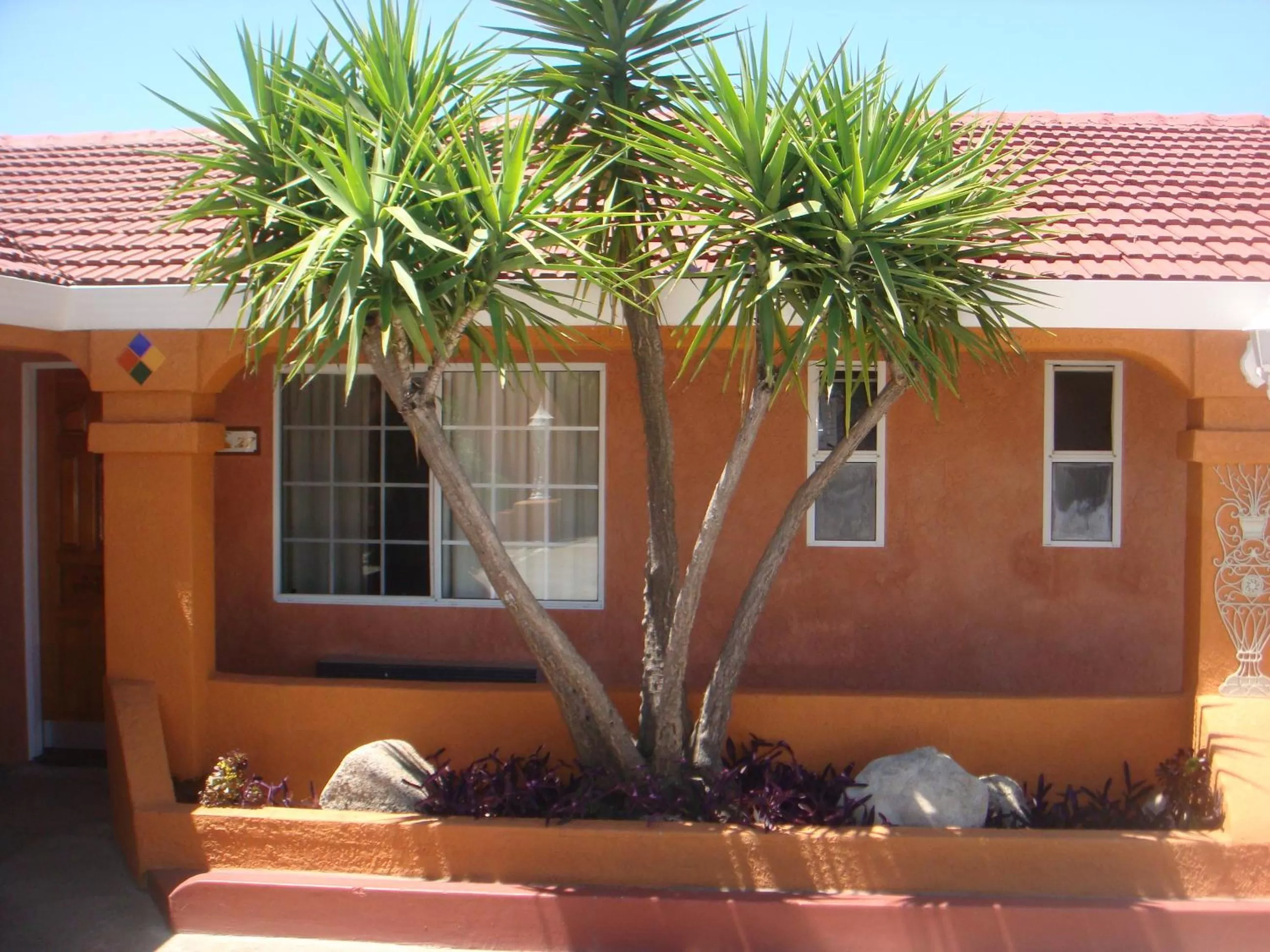 Garden in Economy Inn Los Banos