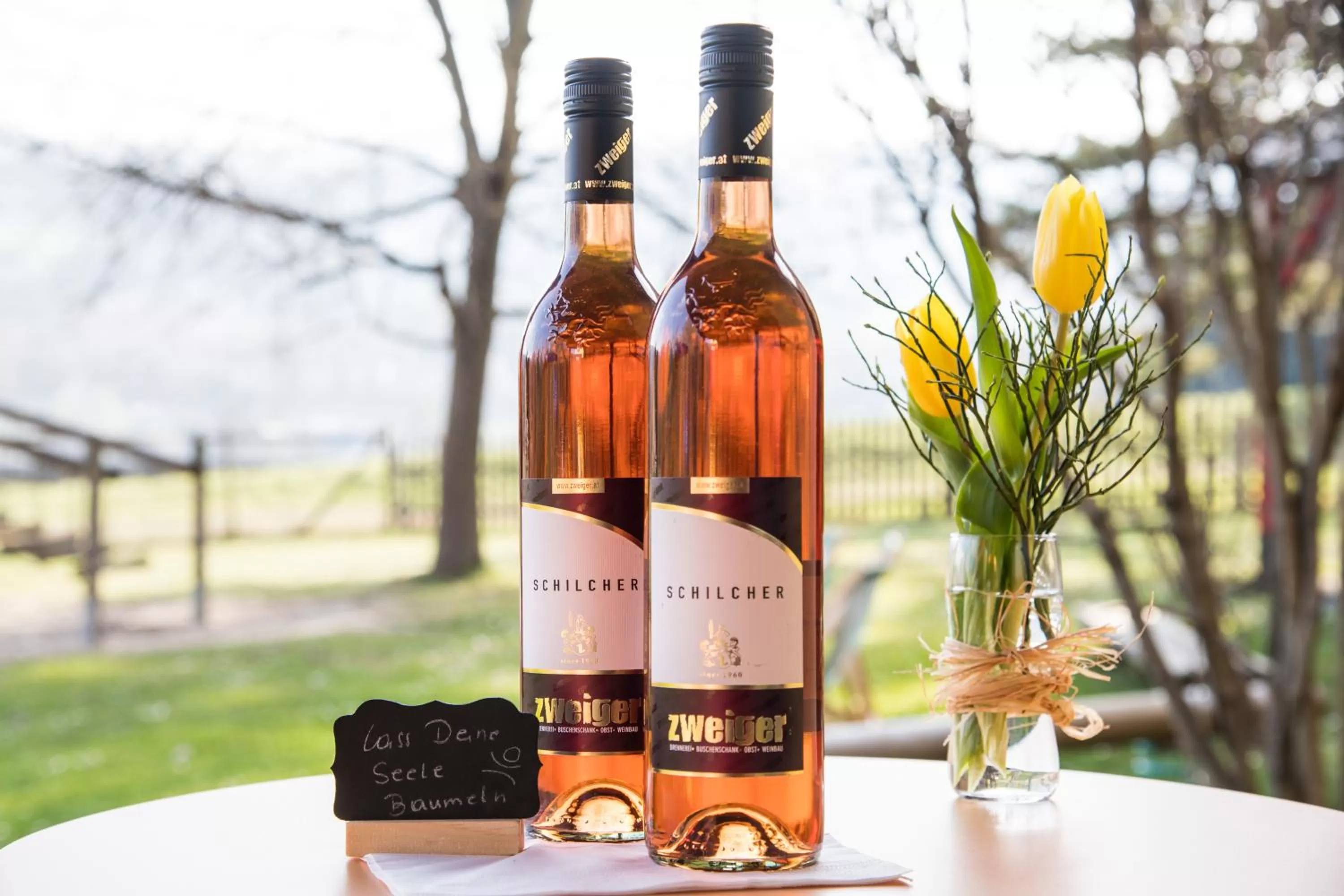 Alcoholic drinks in JUFA Hotel Maria Lankowitz