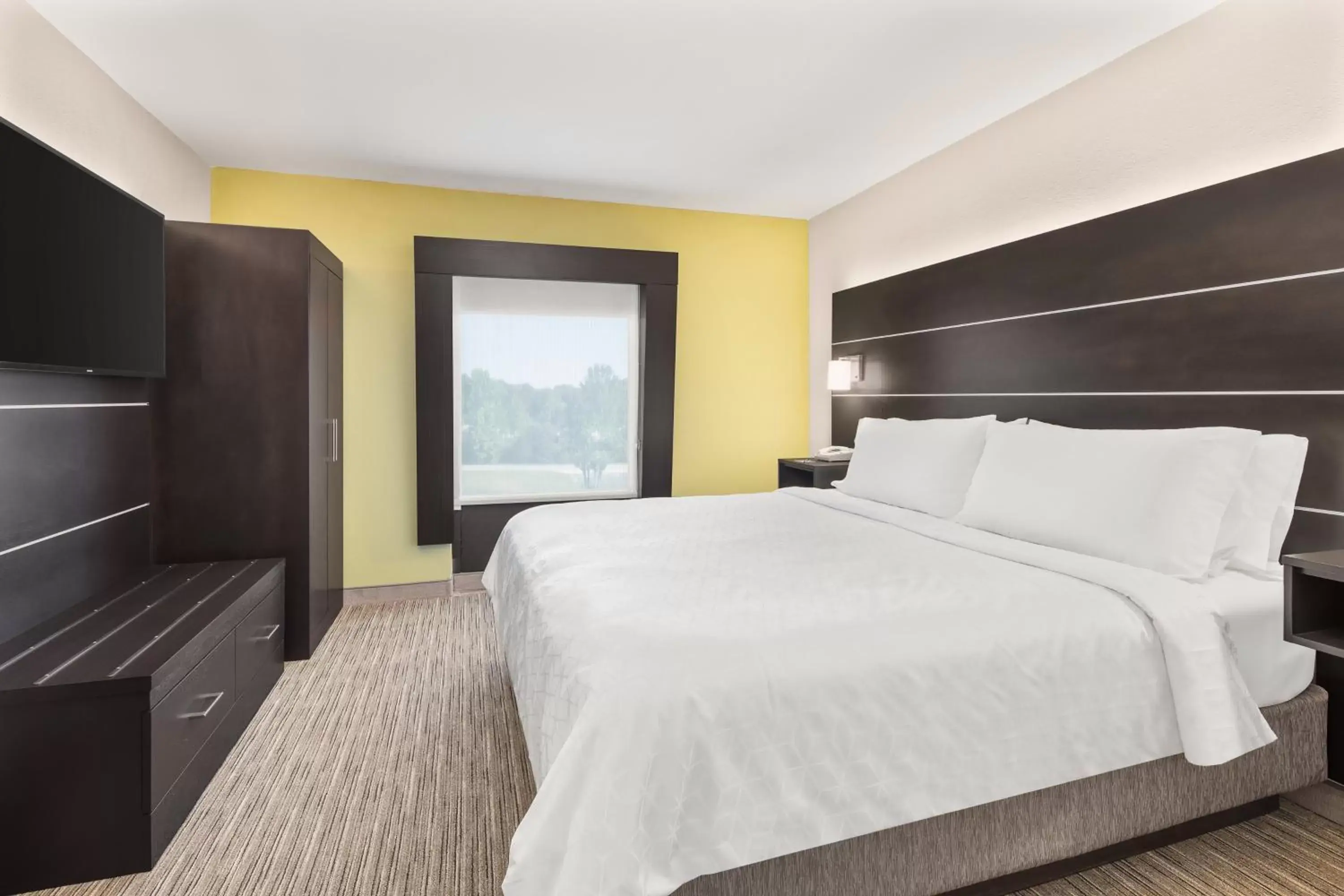 One-Bedroom Suite in Holiday Inn Express Hotels & Suites Greenville-Spartanburg/Duncan by IHG One-Bedroom Suite in Holiday Inn Express Hotels & Suites Greenville-Spartanburg/Duncan by IHG