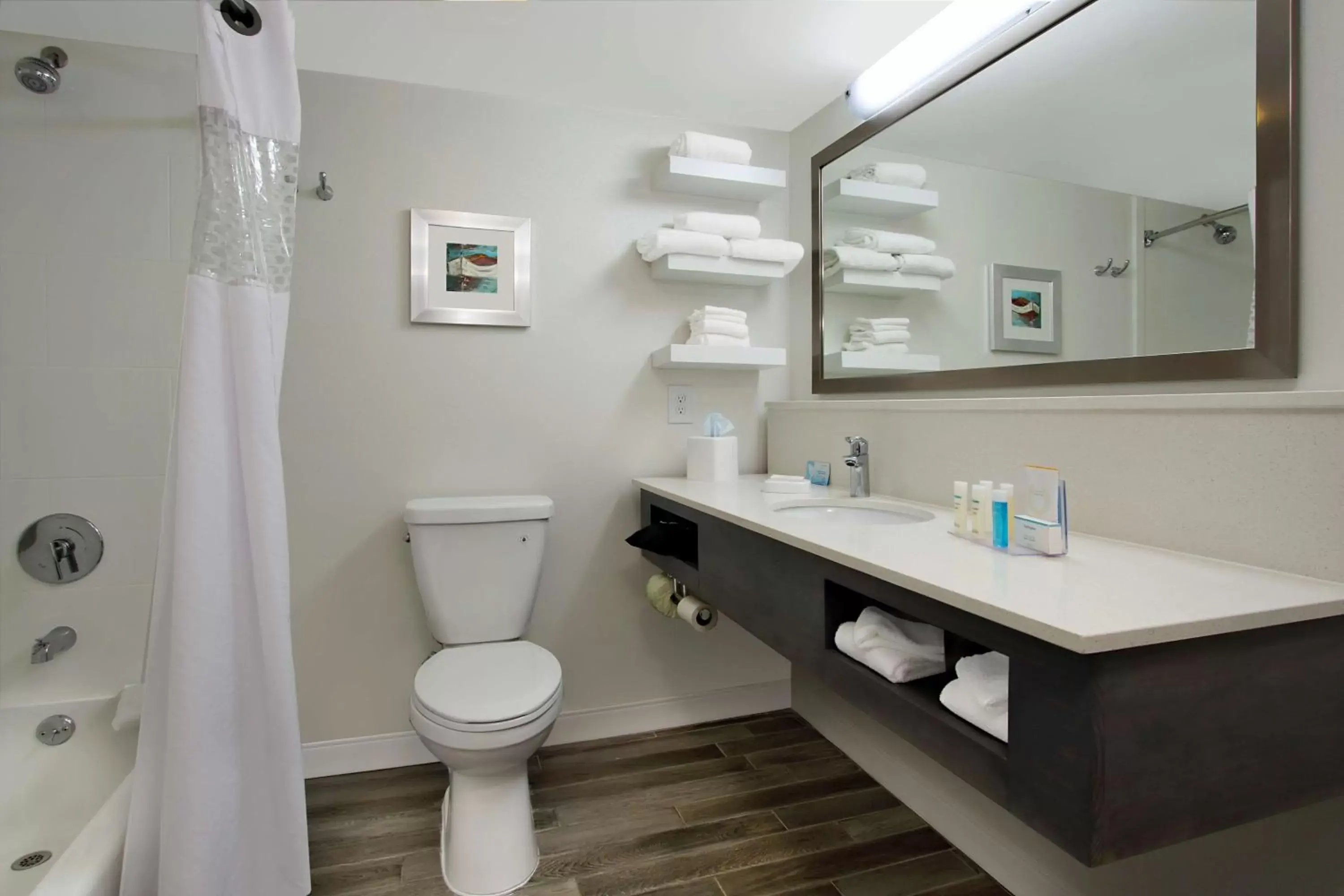 King Room in Hampton Inn Madison King Room in Hampton Inn Madison