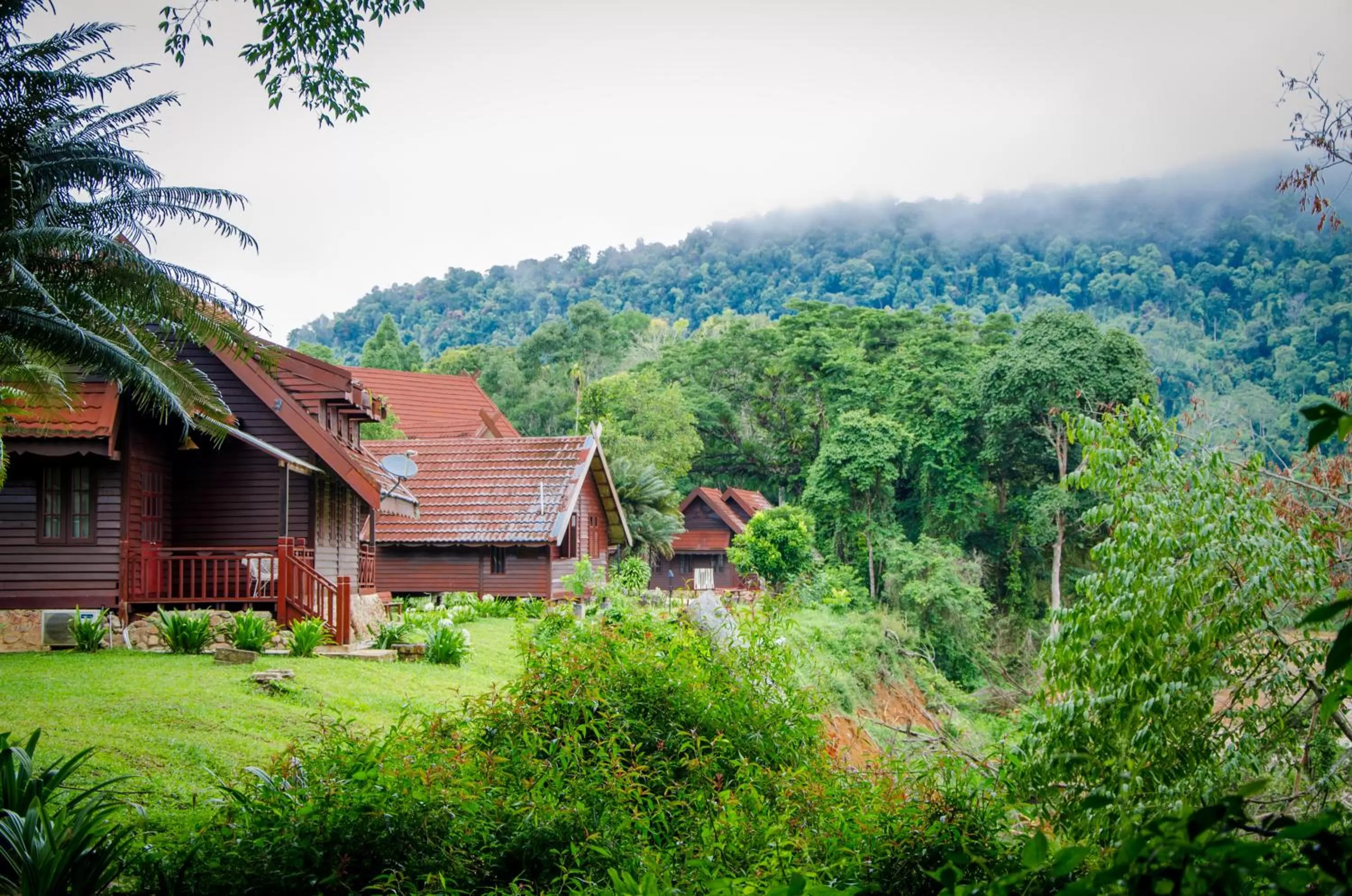 Natural landscape in Mutiara Taman Negara