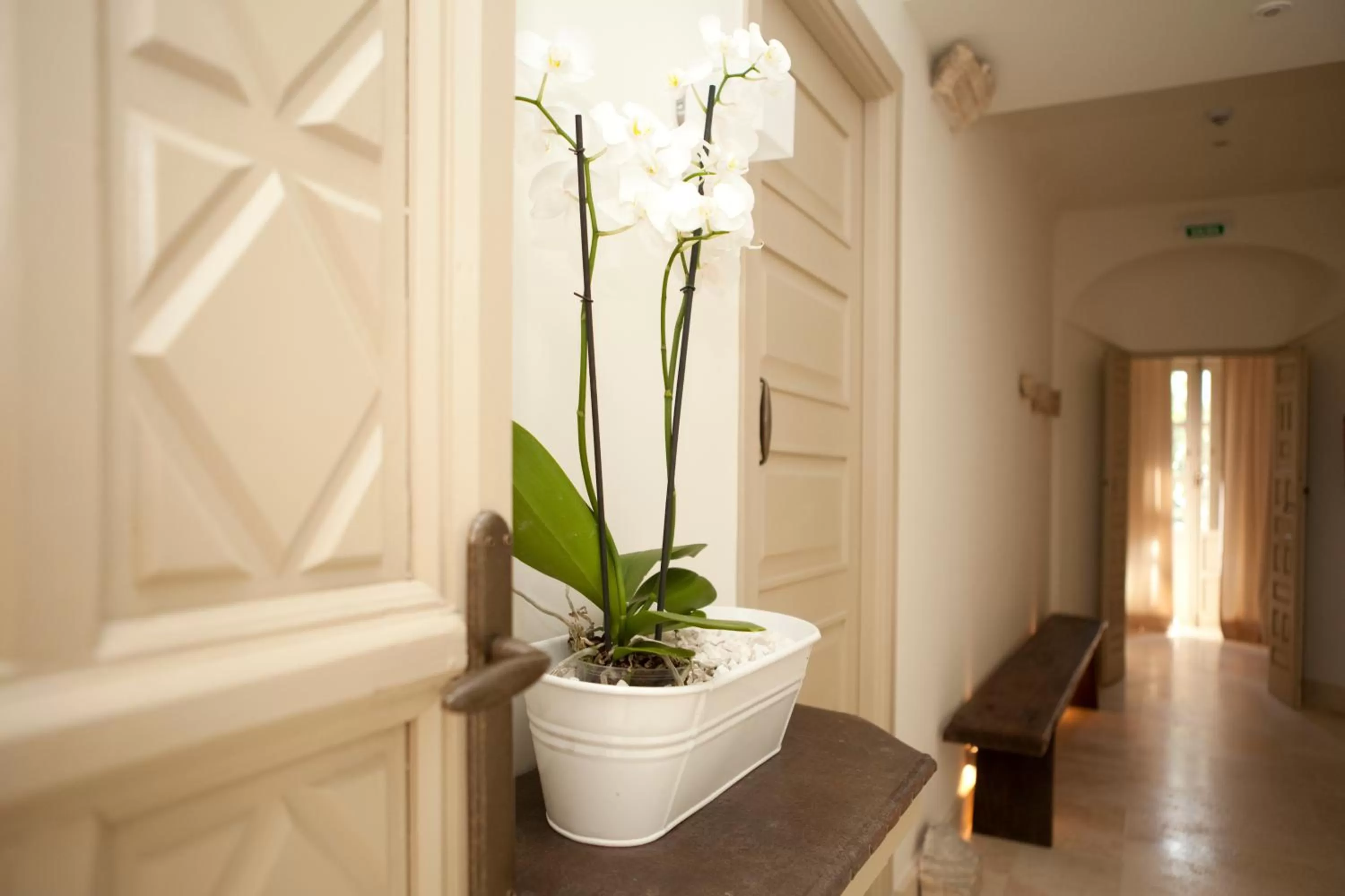 Decorative detail in Balcón de Córdoba