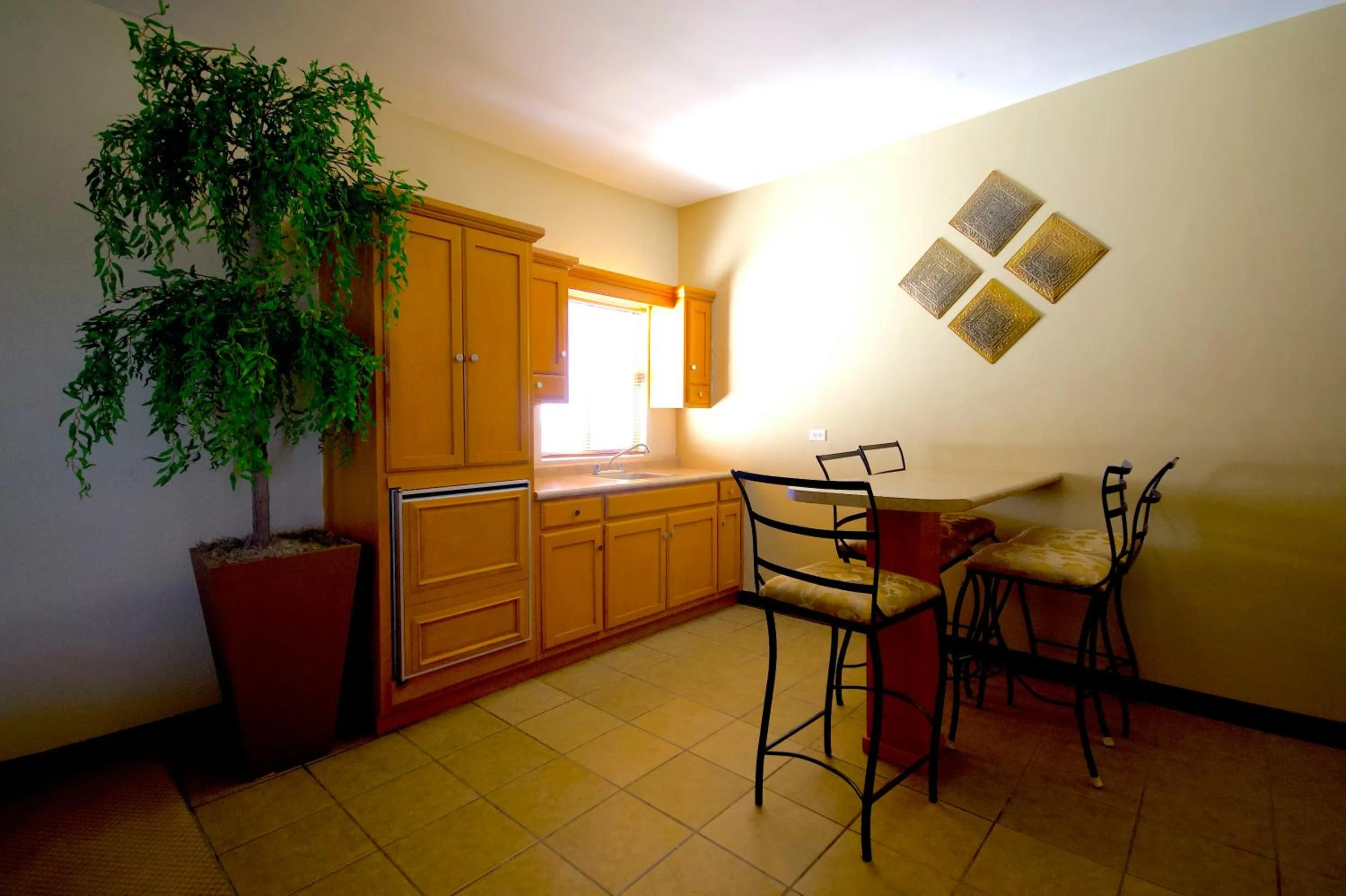Kitchen or kitchenette in Hotel Consulado Inn
