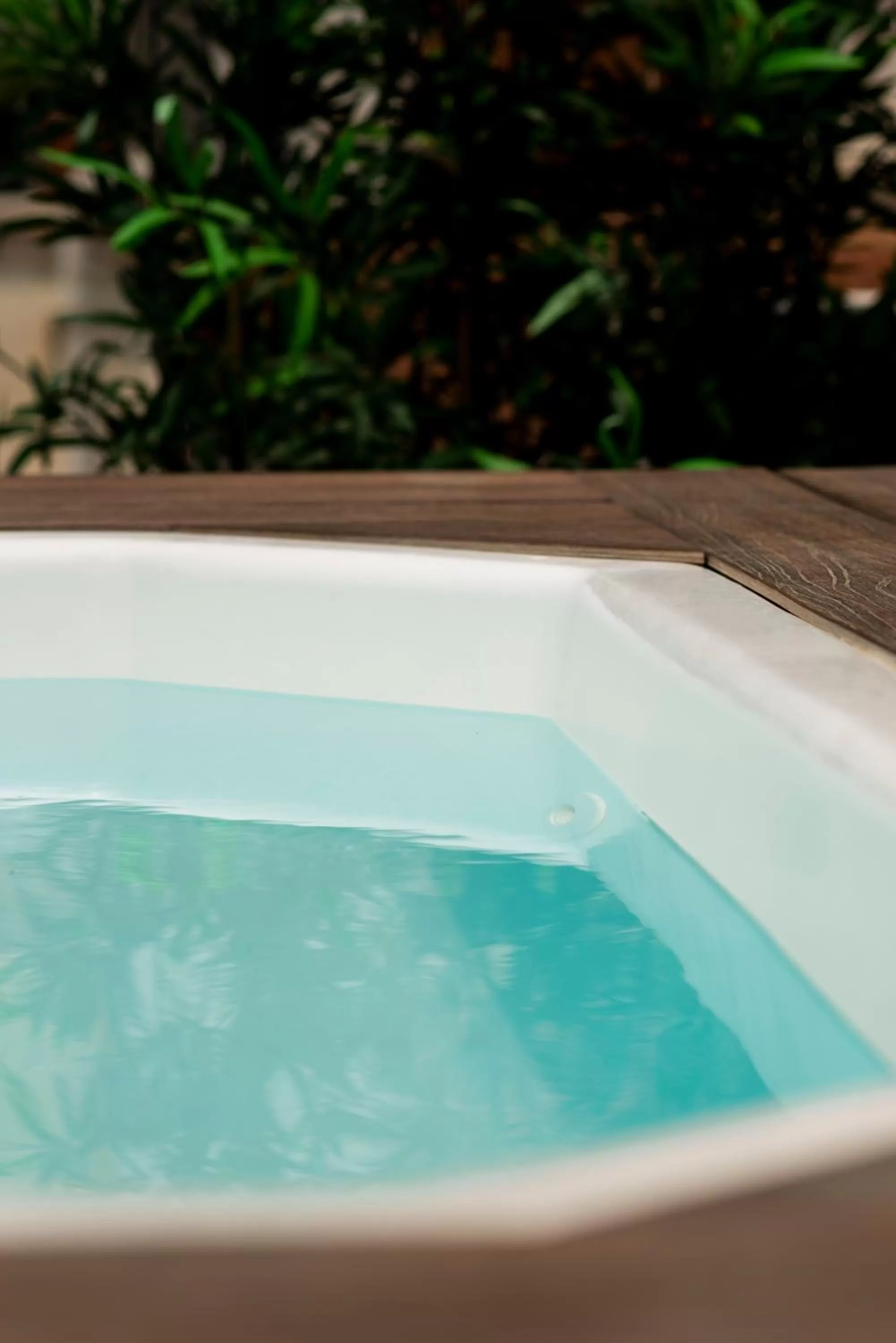 Swimming pool in Blanq Carmen Hotel