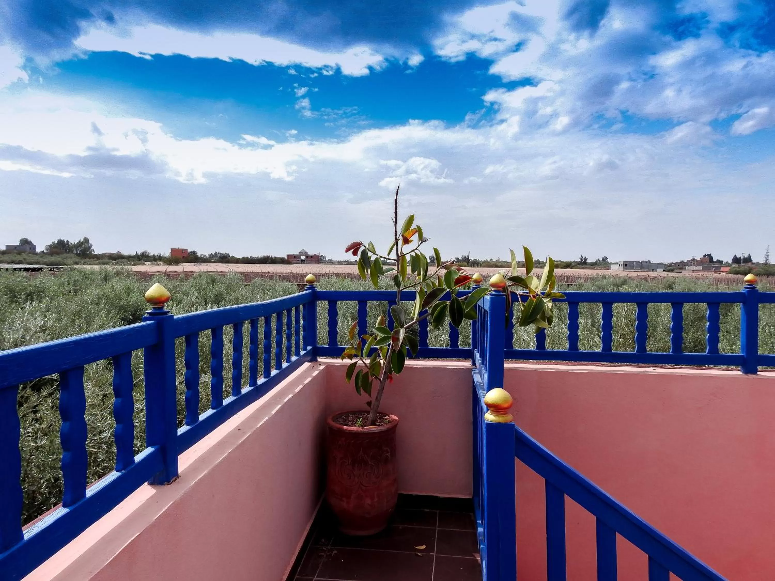 Suite with Terrace in Le Bleu House
