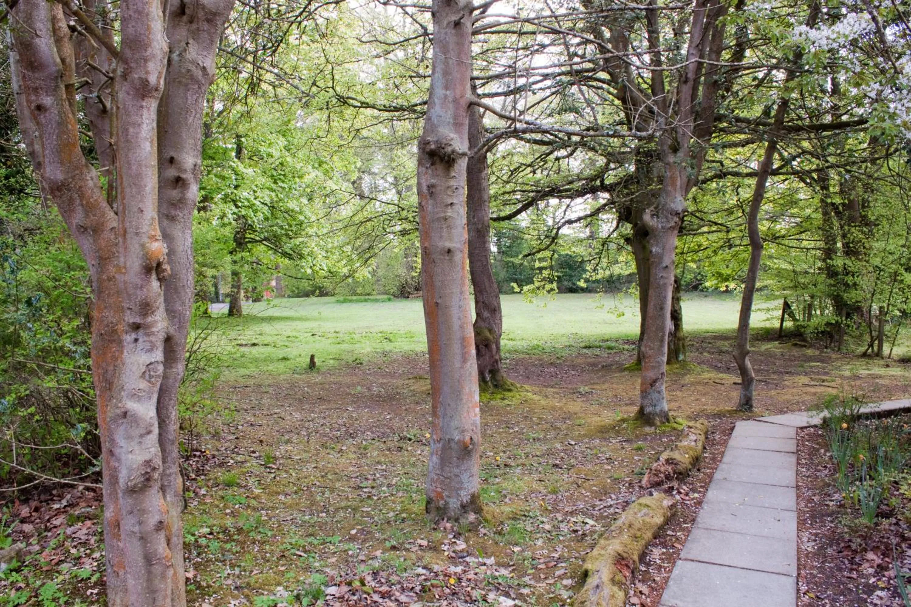 Other in Bankton House