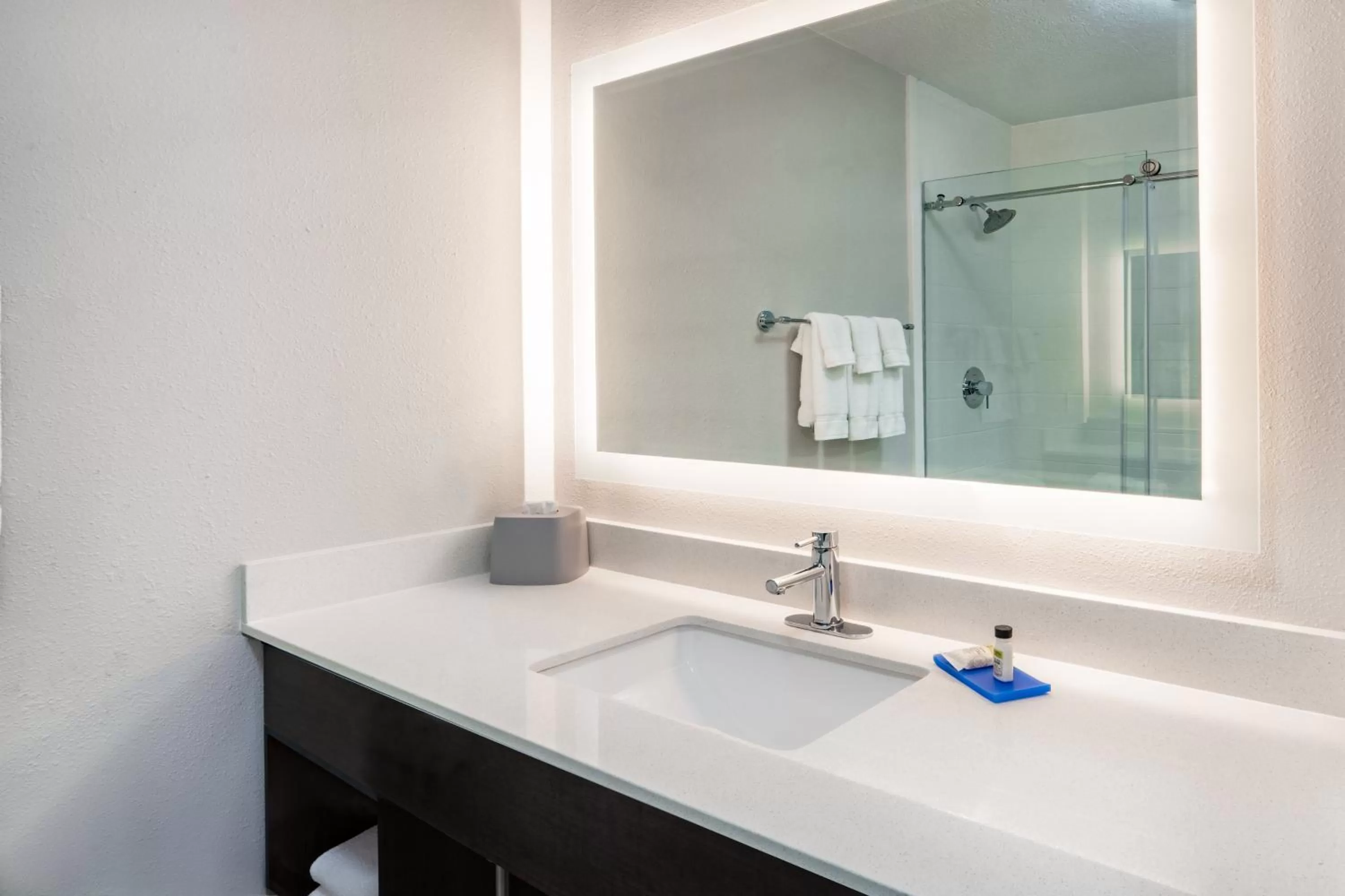 Bathroom in Holiday Inn Express Hotel & Suites Albuquerque - North Balloon Fiesta Park by IHG