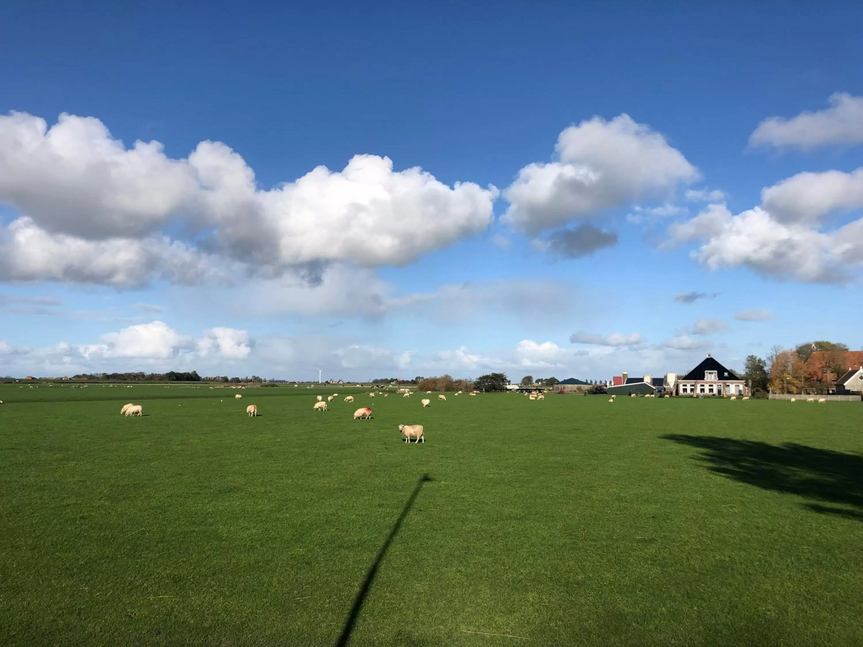 Natural landscape in Hotel Workum