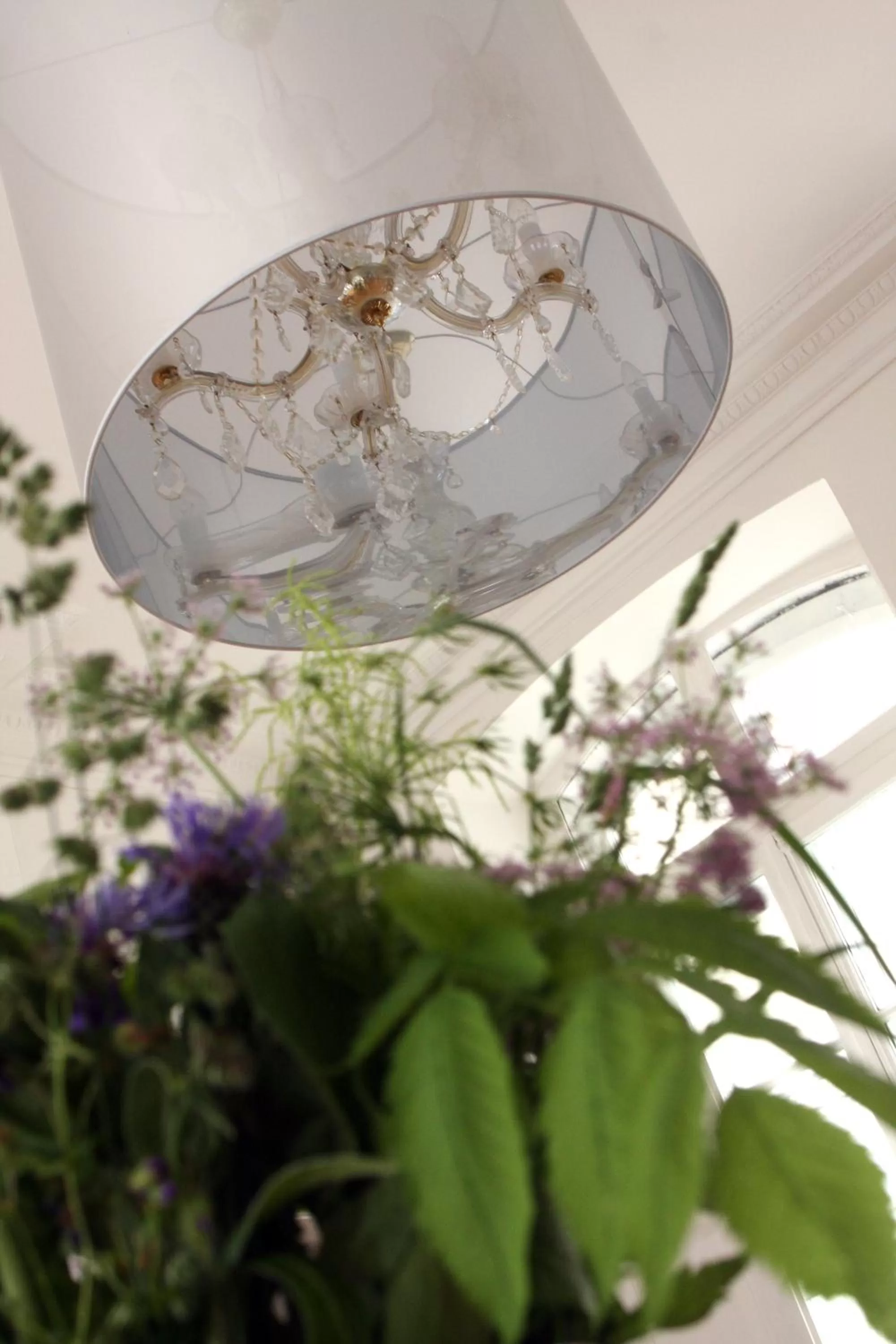 Kitchen or kitchenette in La Maison d'A Côté