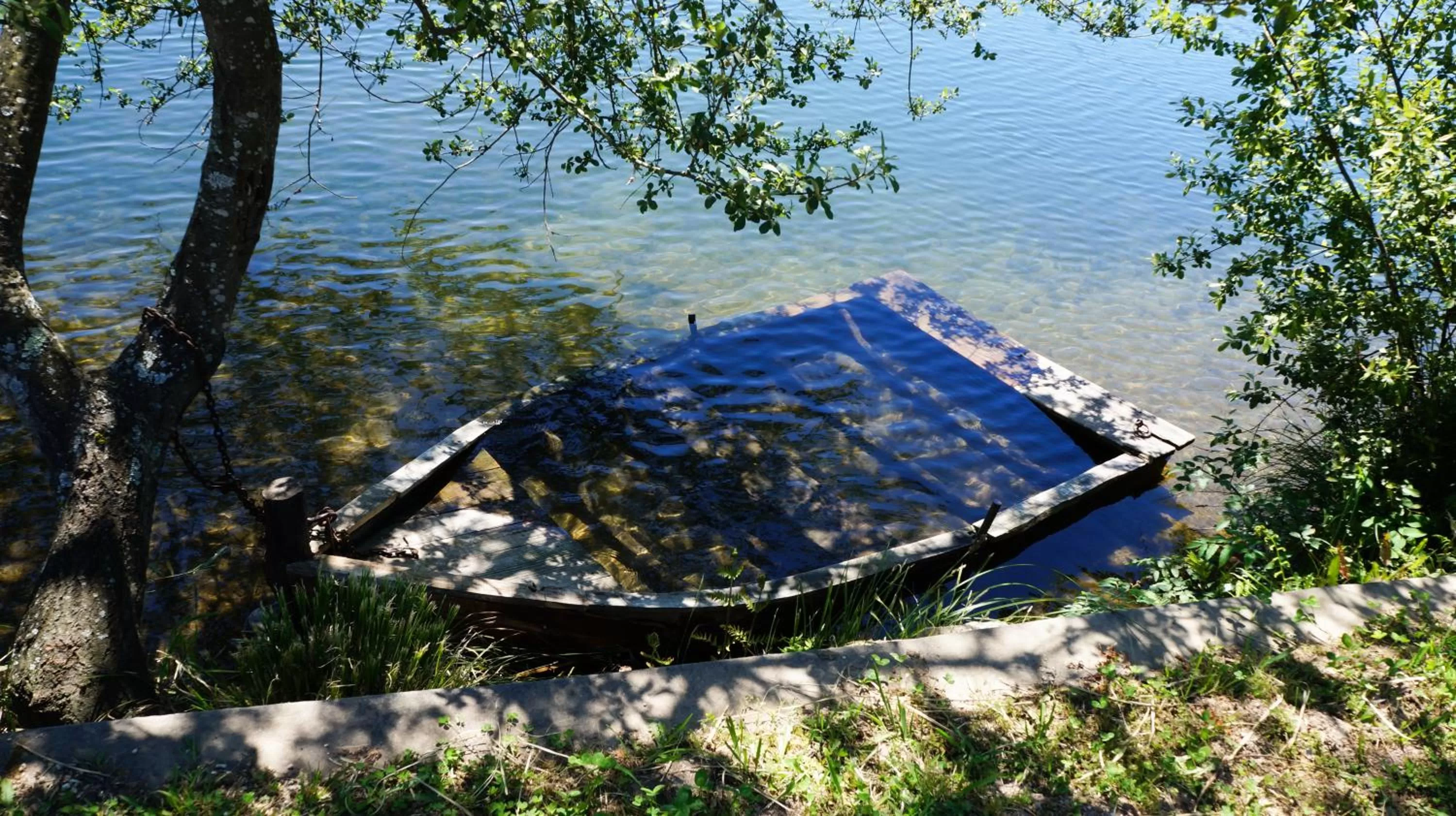 Natural landscape in B&B Villa Branca Barreiros AL98139