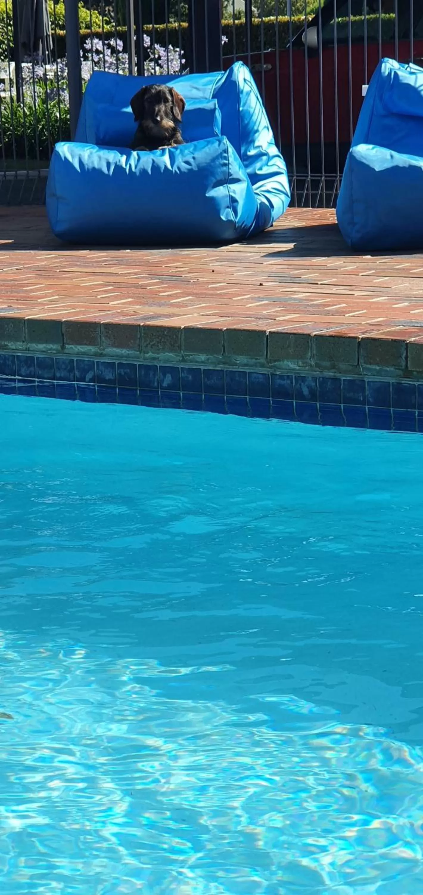 Swimming pool in Parkview Motor Inn and Apartments