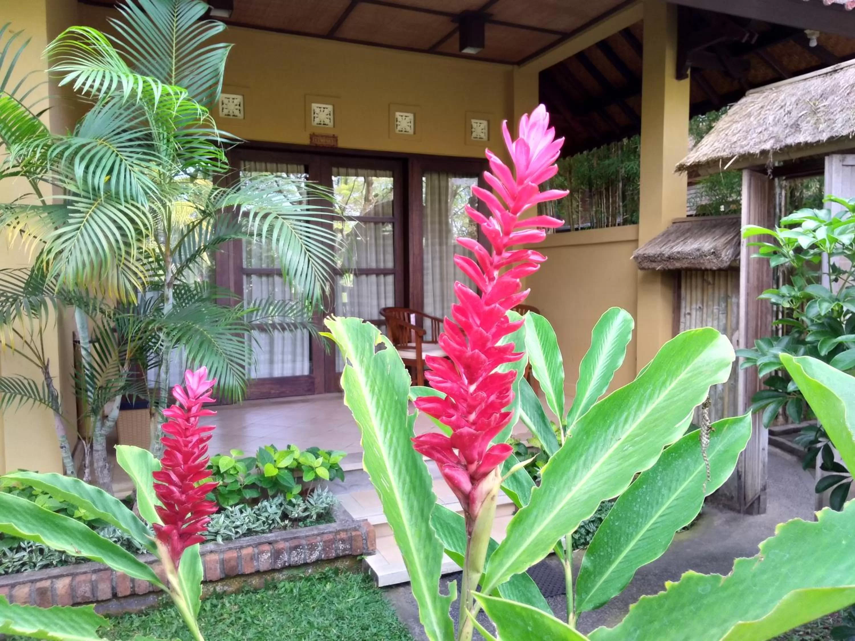 Ubud Lestari Bungalows