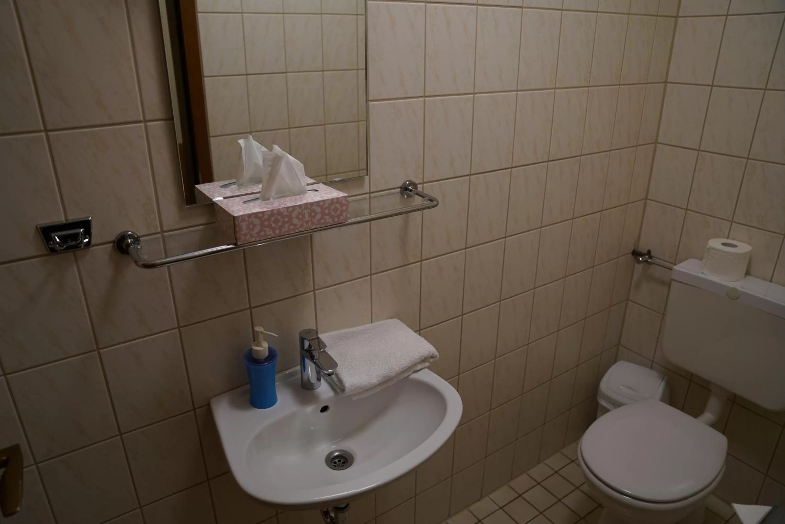 Bathroom in Hotel zum Grafen Hallermunt