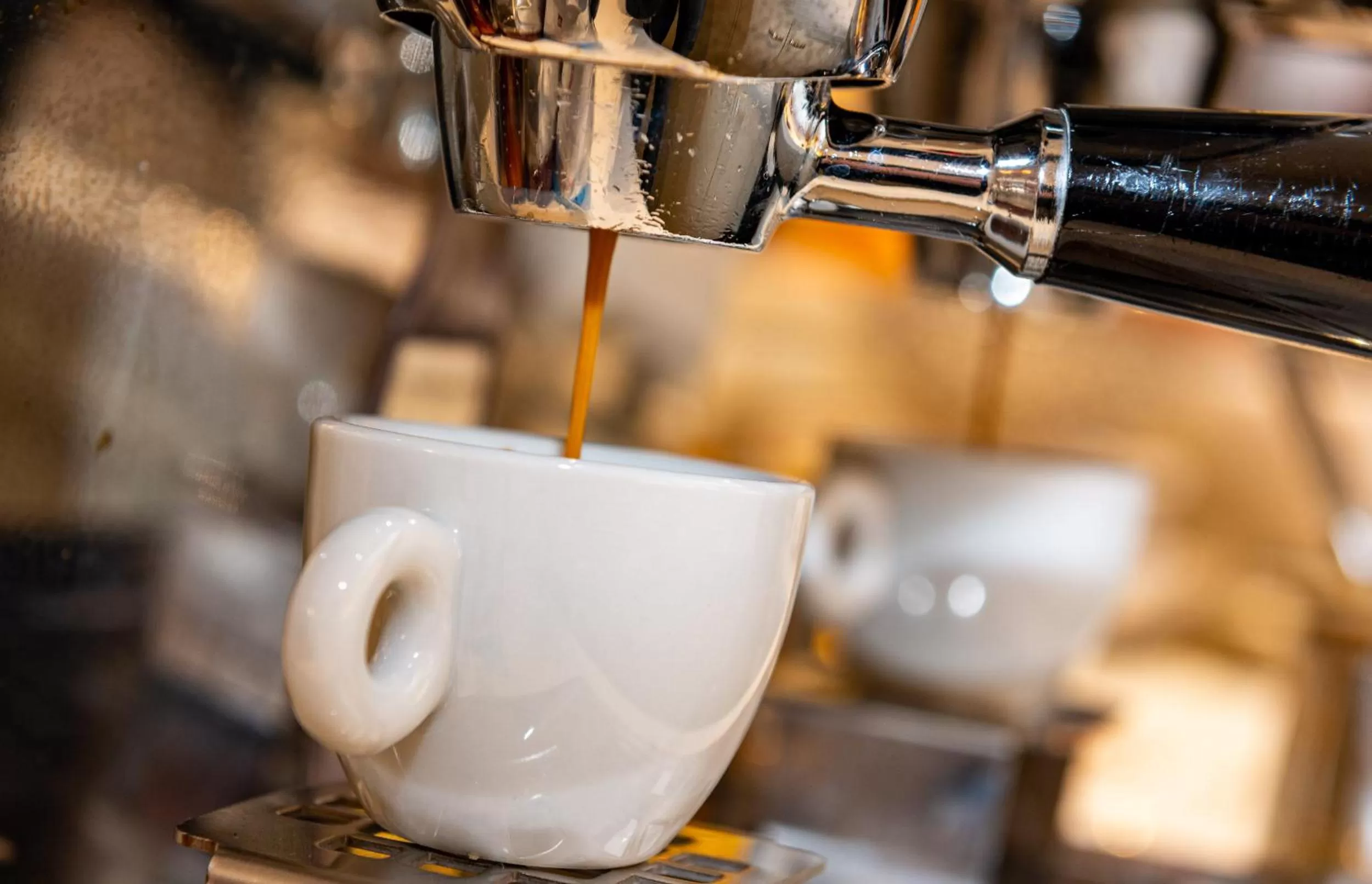 Food and drinks in Hotel Mirandola